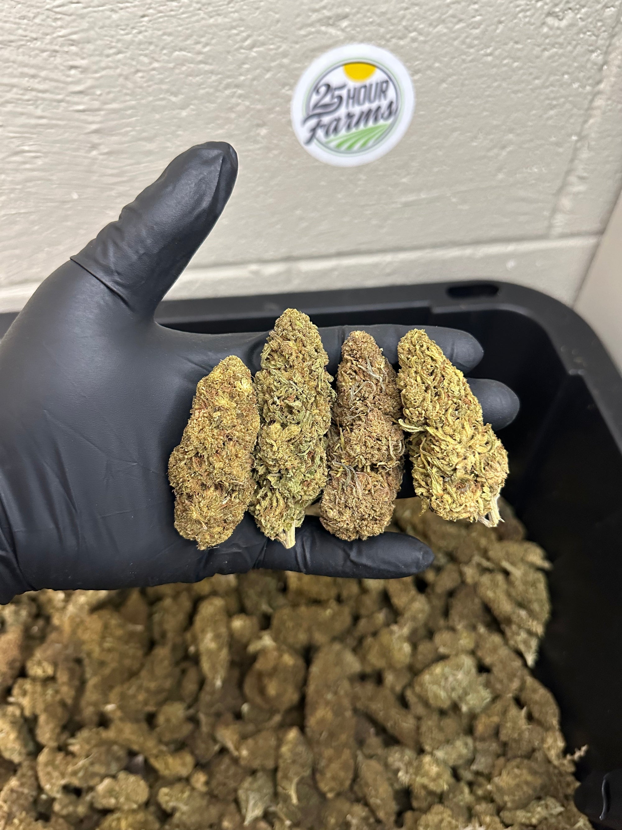Salad Bar Hemp Flower