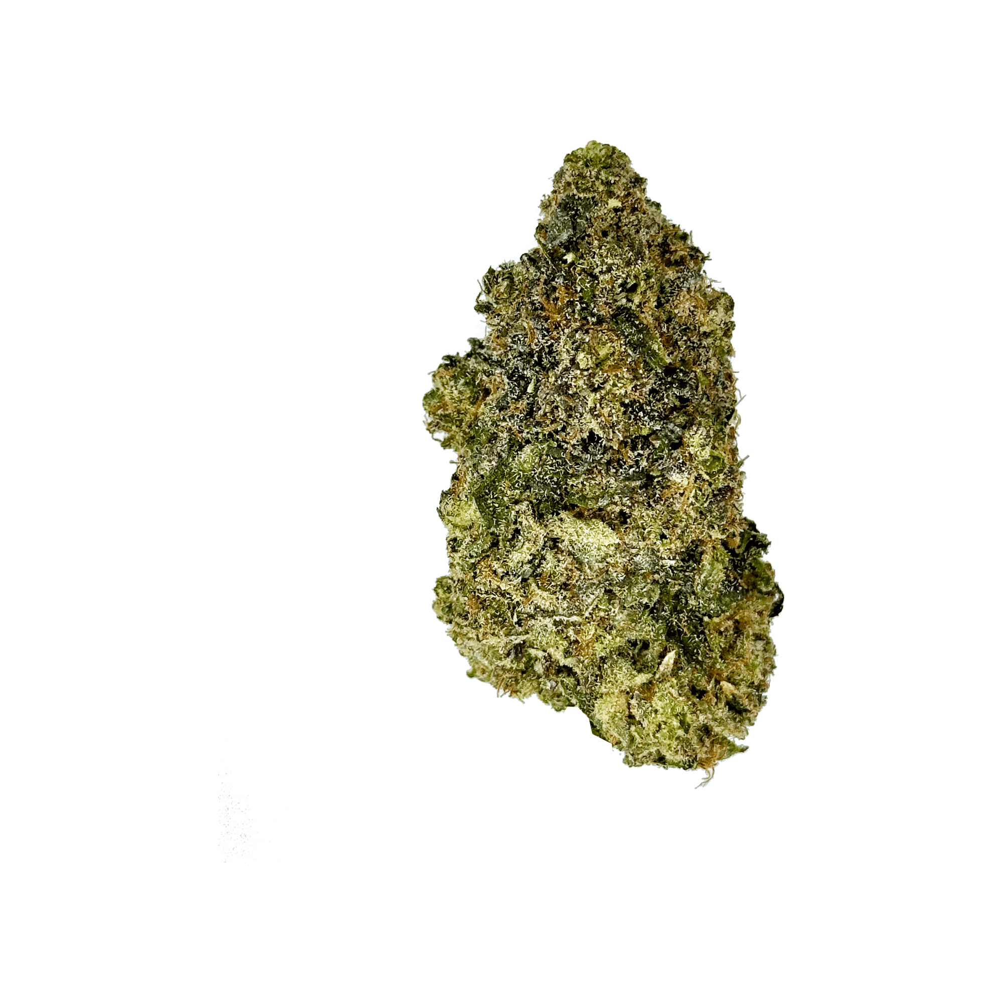Indoor Hydro Gary Payton THCA Flower