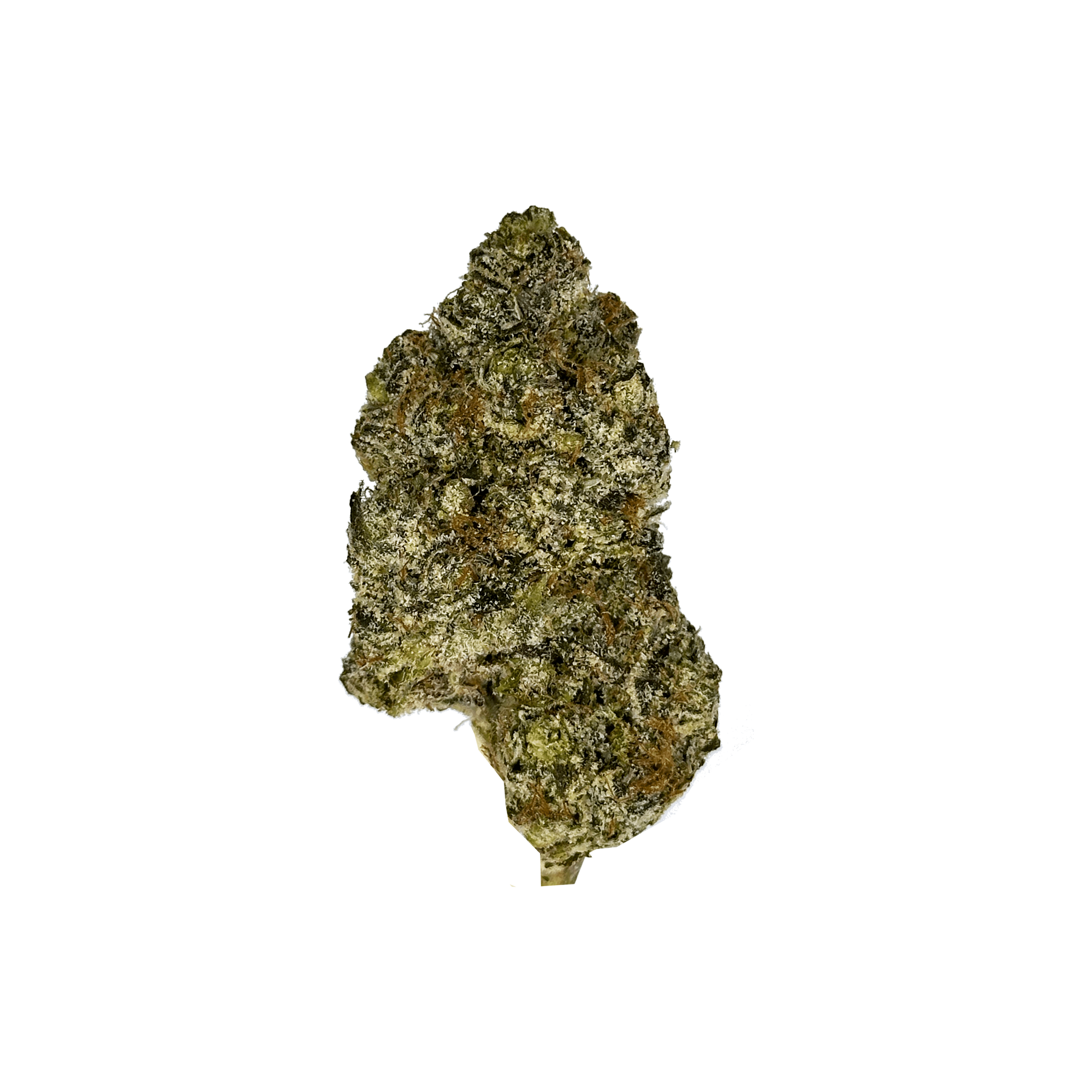 Tropicana Banana OG Indoor THCa Flower