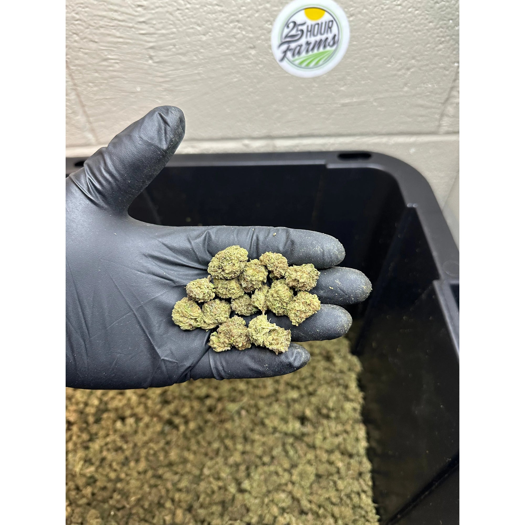 Casino Cookies Hemp Flower Smalls