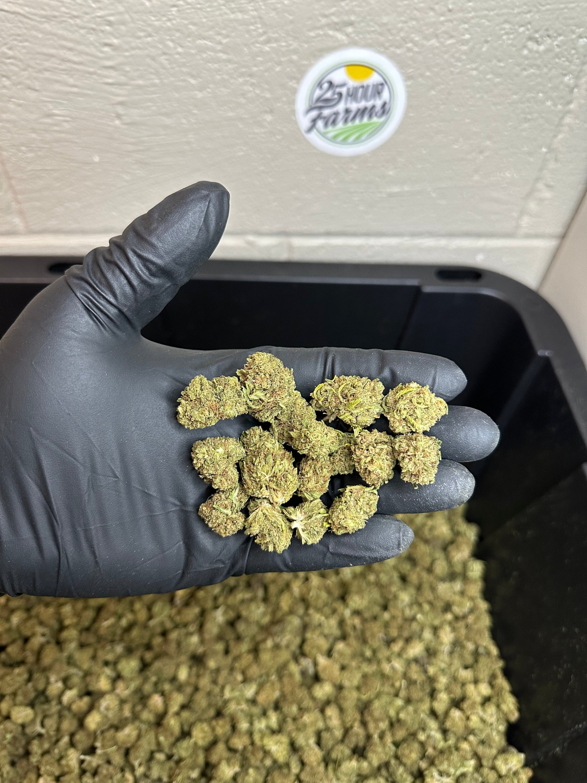 Bubba 59 Hemp Flower Smalls