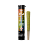 Moon Rock THCA Pre Rolls