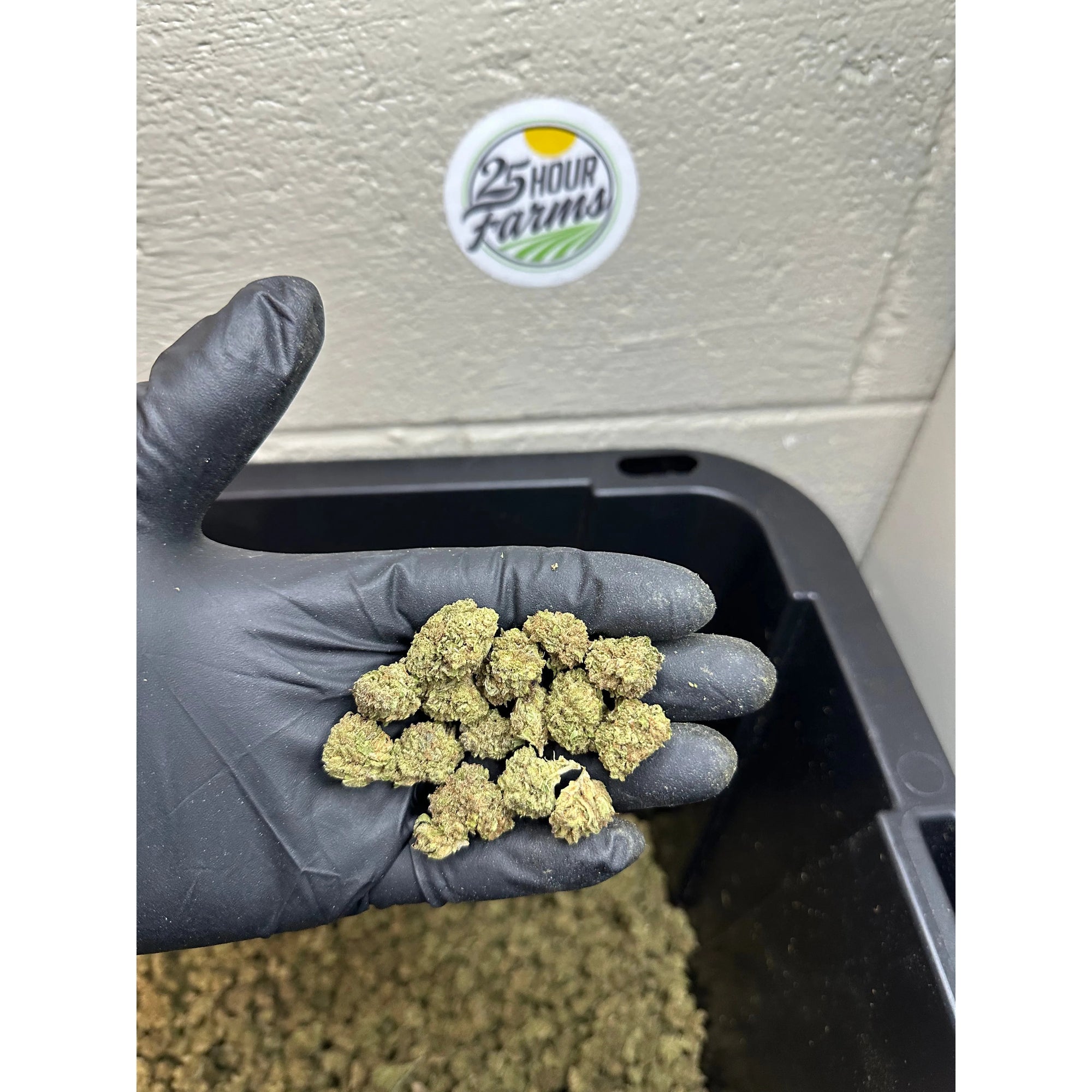 Casino Cookies Hemp Flower Smalls