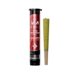 Moon Rock THCA Pre Rolls