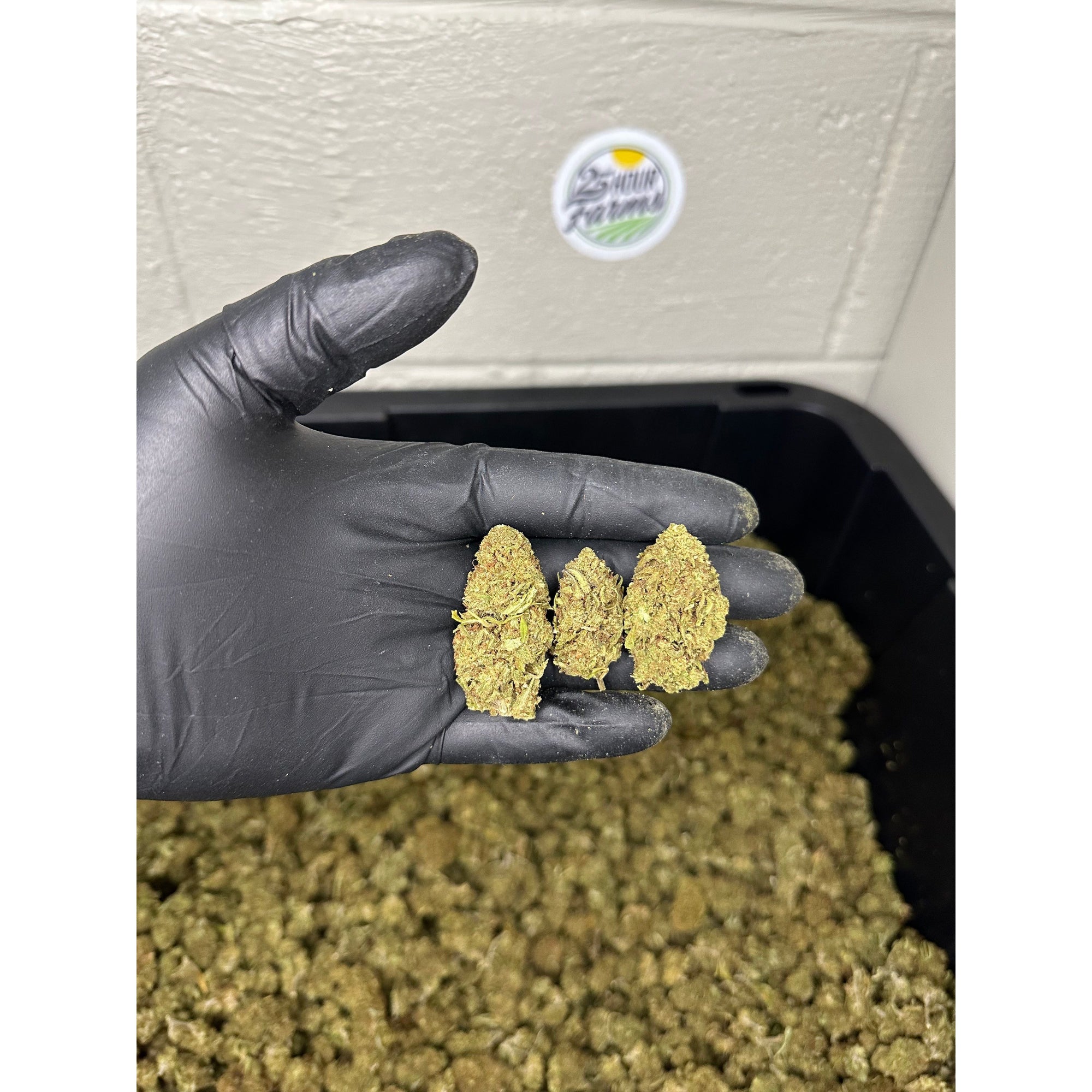 Mothership CBD Hemp Flower
