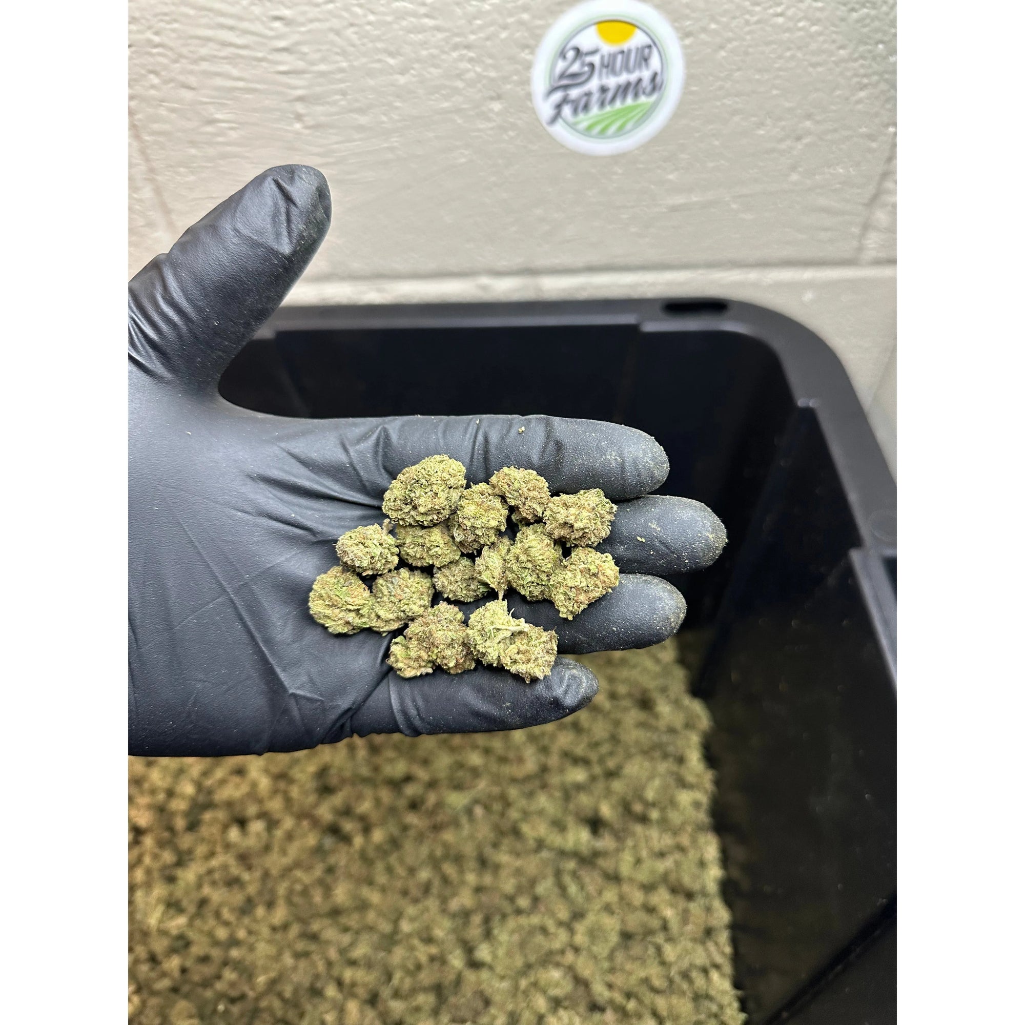 Casino Cookies Hemp Flower Smalls