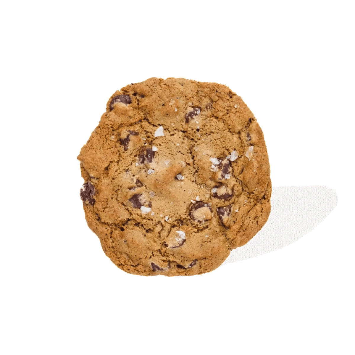 Salted Chocolate Chip Cookie 50mg