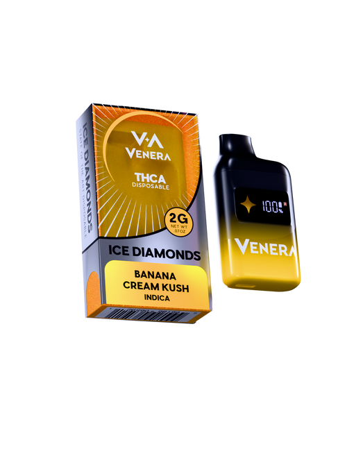 2G Disposable Vape Pen