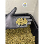 Mothership CBD Hemp Flower