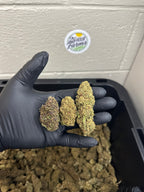 Salad Bar Hemp Flower