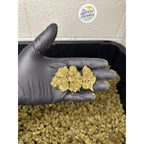 Mothership CBD Hemp Flower