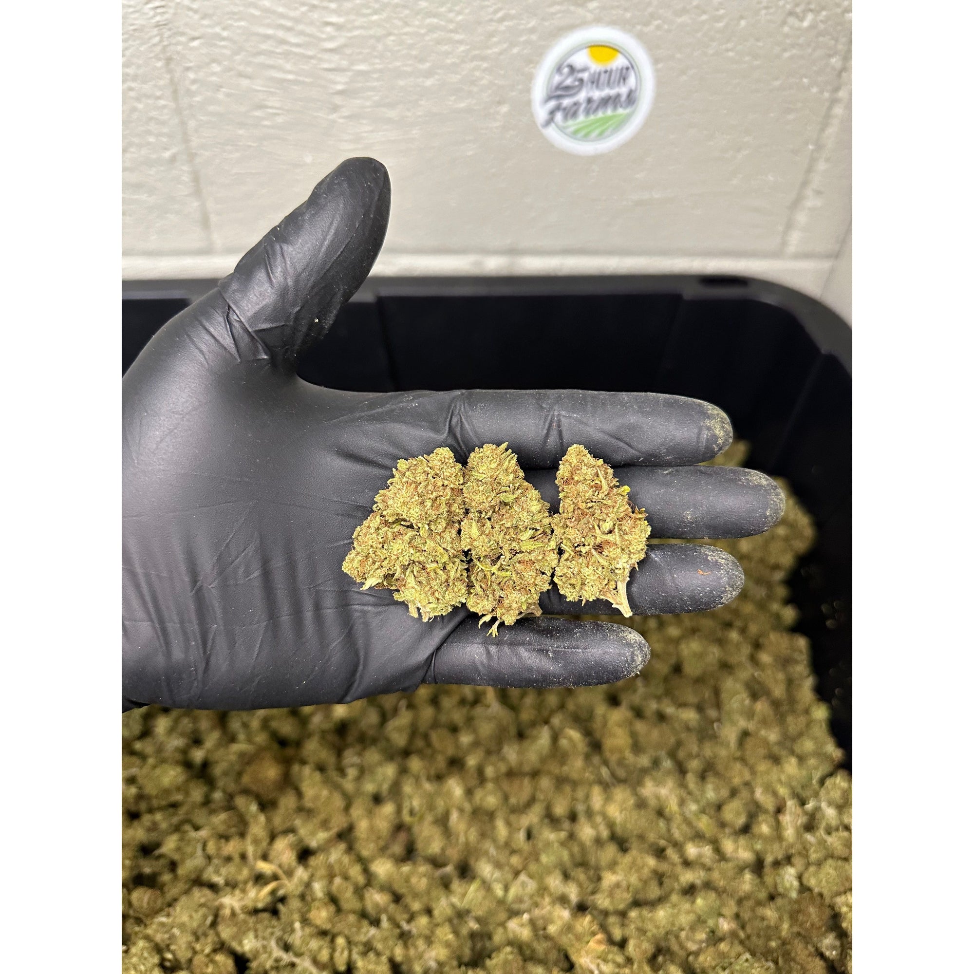 Mothership CBD Hemp Flower