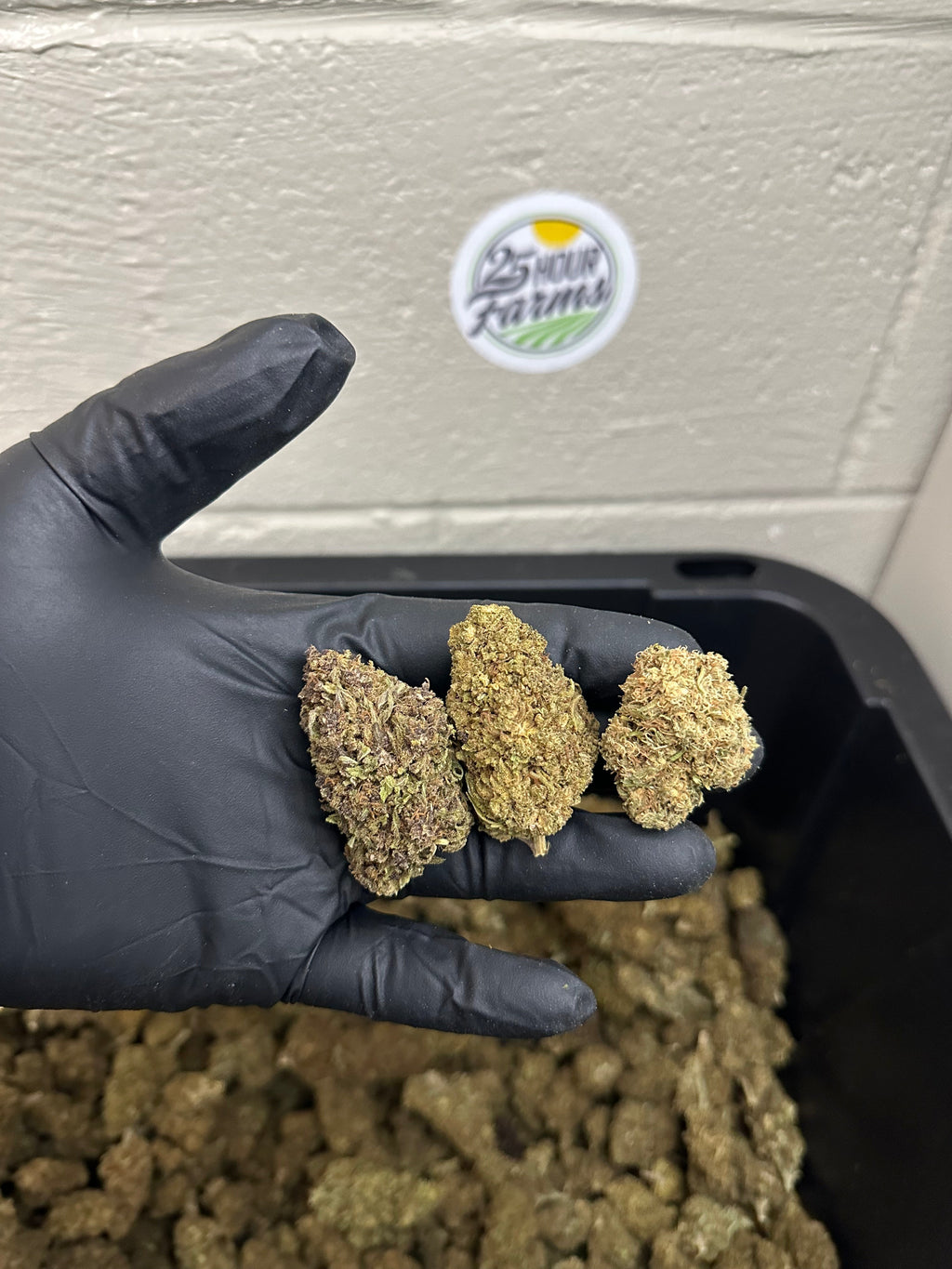 Salad Bar Hemp Flower