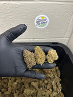 Salad Bar Hemp Flower