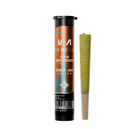 Moon Rock THCA Pre Rolls