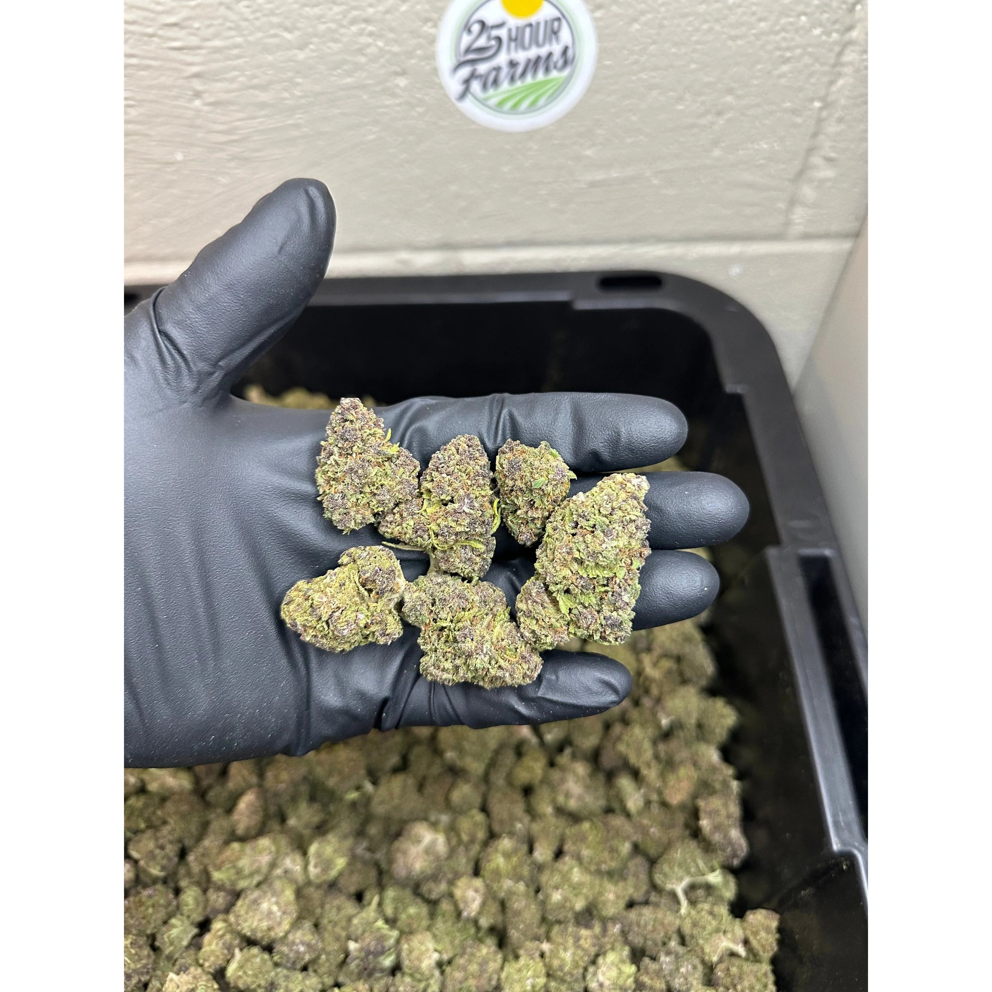 Purple Gruntz CBD Hemp Flower
