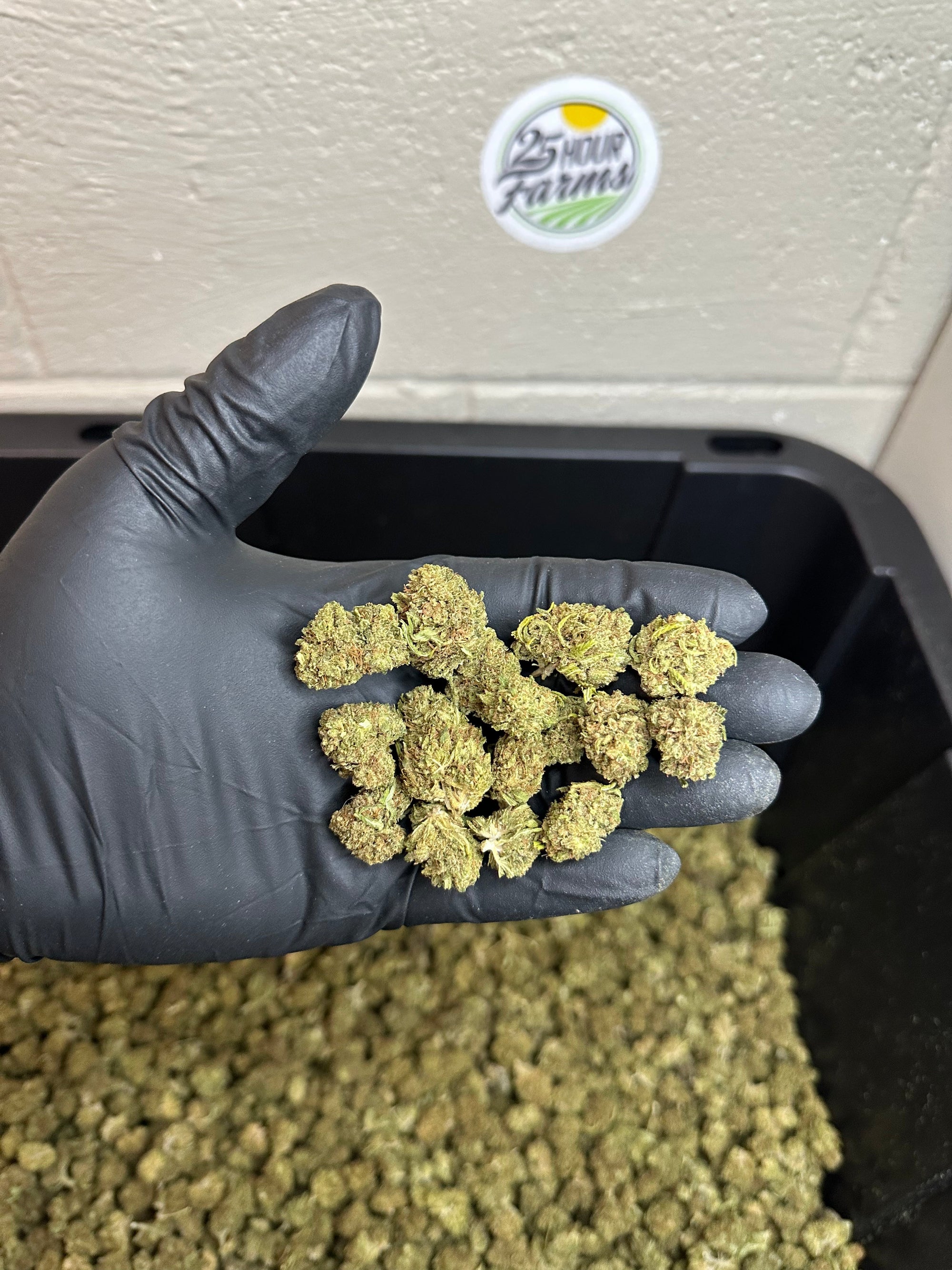 Bubba 59 Hemp Flower Smalls