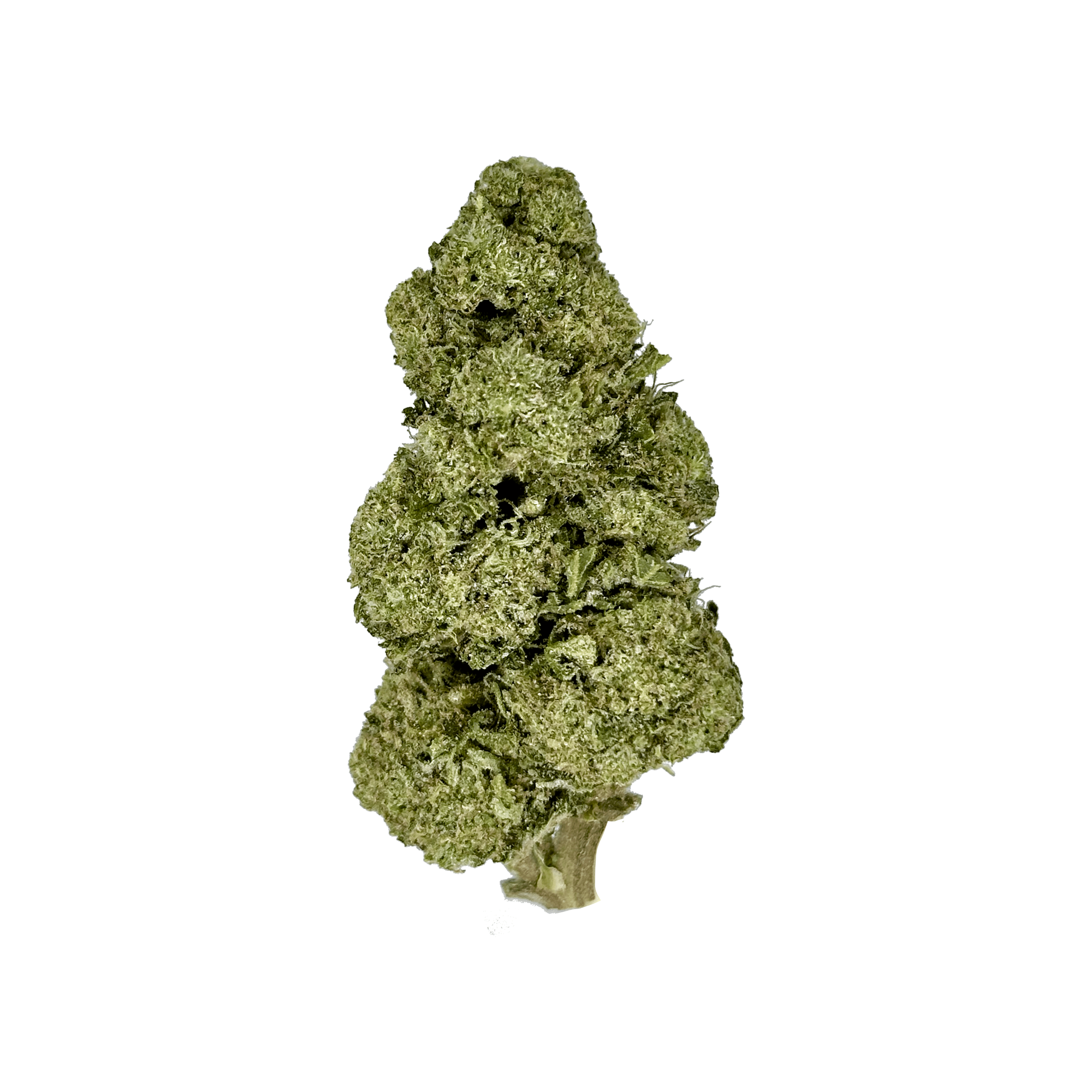 Agua Fresca THCa Flower