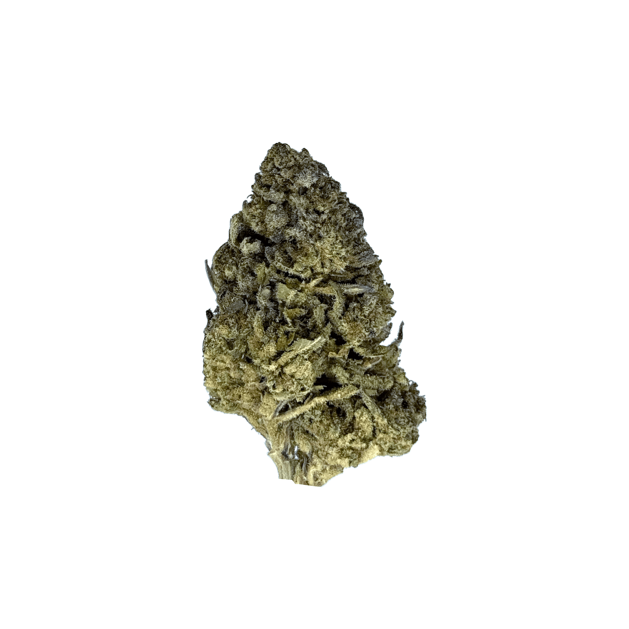 Animal Tsunami THCa Flower