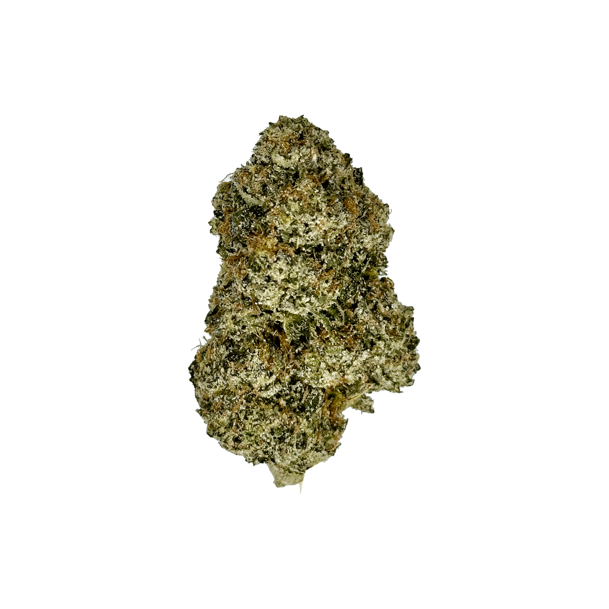 Indoor Archive Runtz THCA Flower