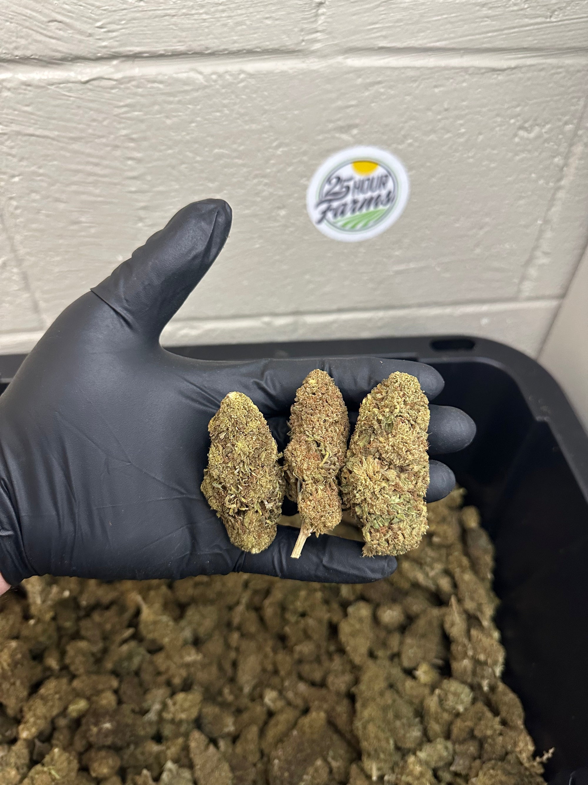 Salad Bar Hemp Flower