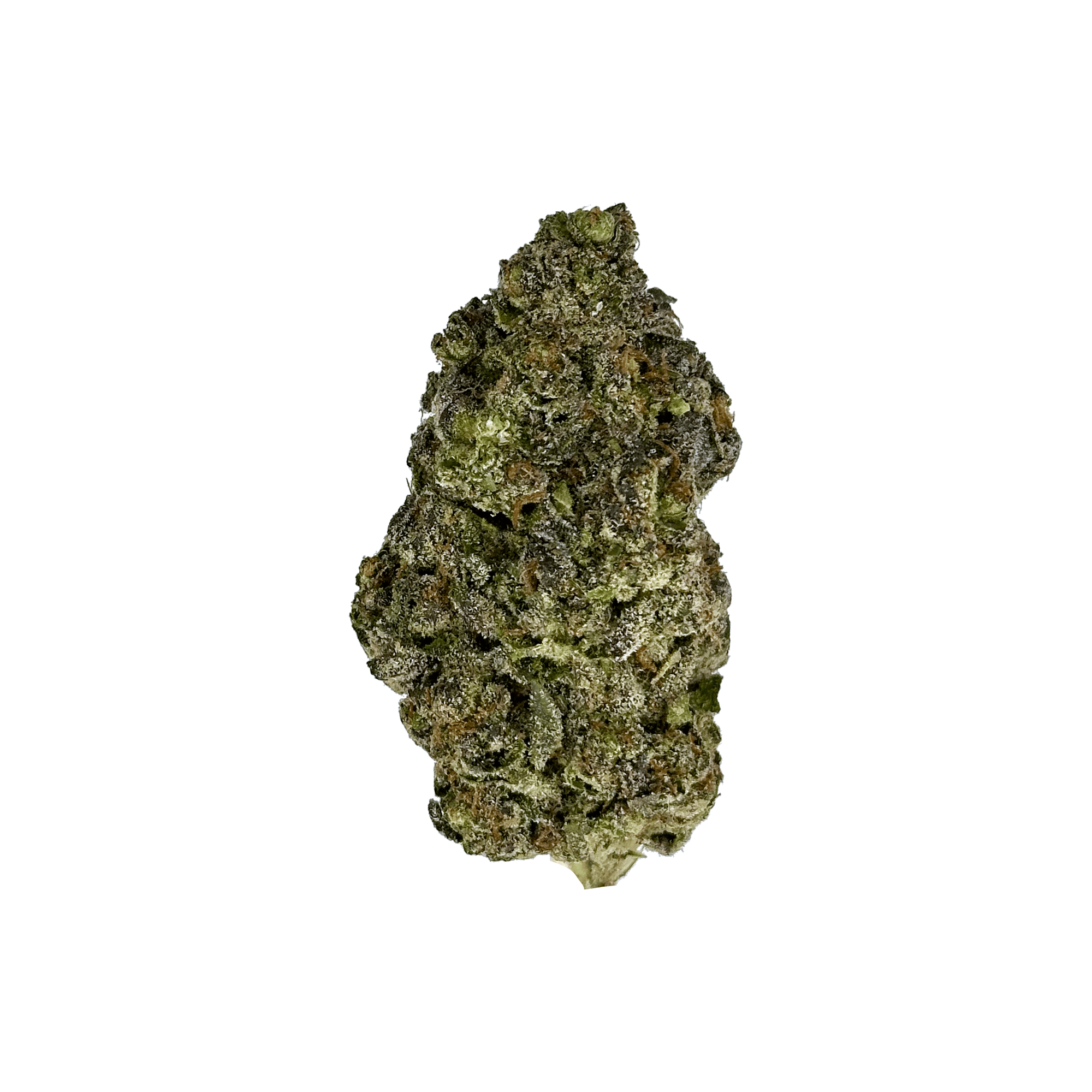 Biscotti THCa Flower