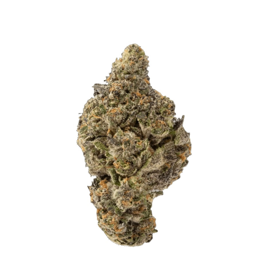 Black Biscotti THCA Hemp Flower (Indica)