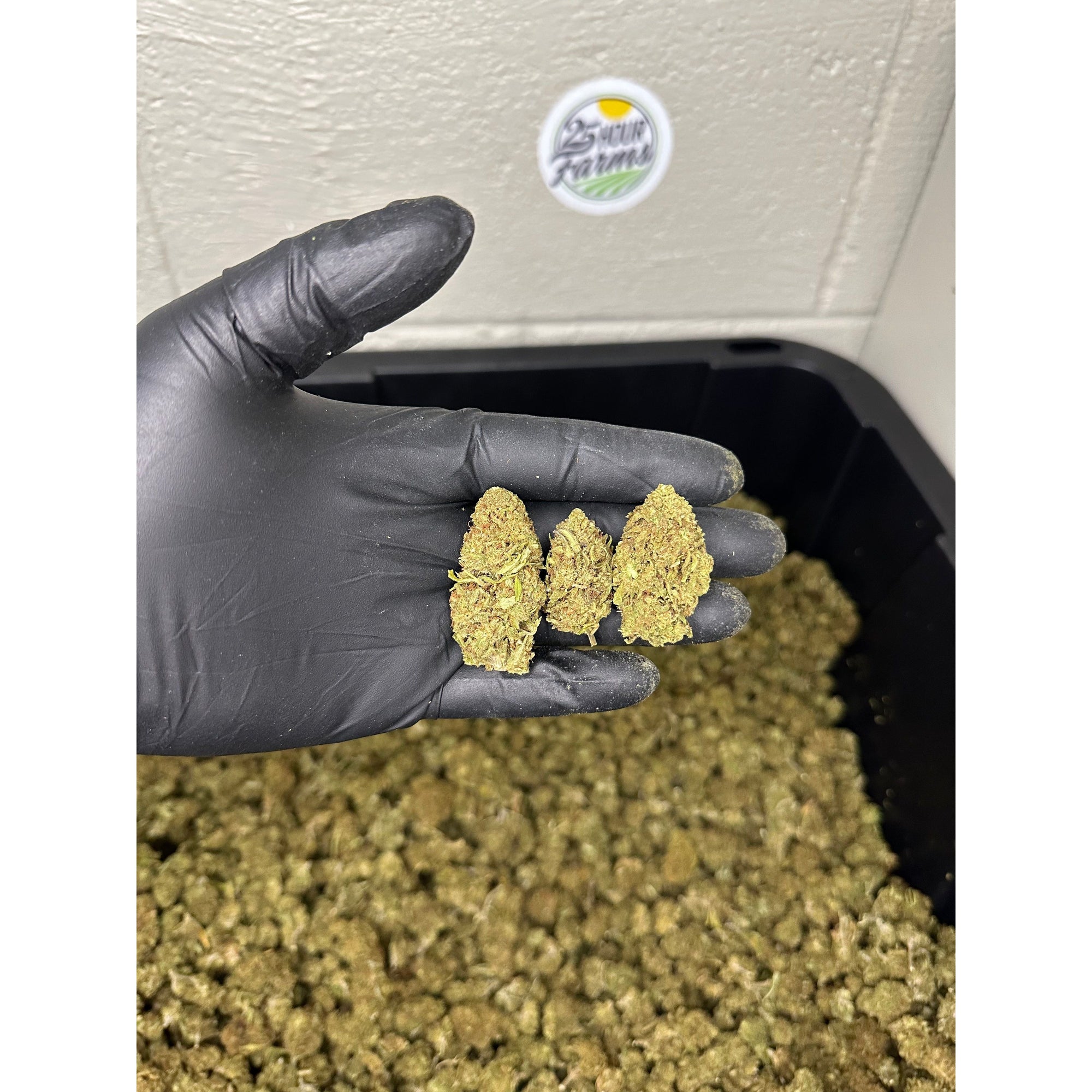 Mothership CBD Hemp Flower