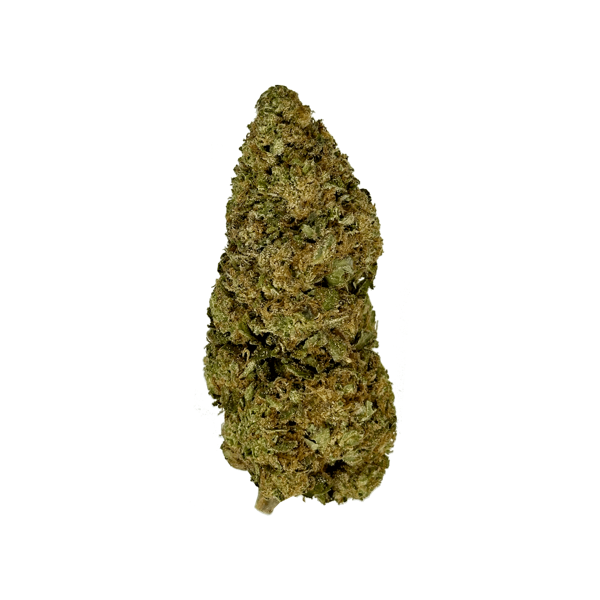 Government Oasis THCA Flower