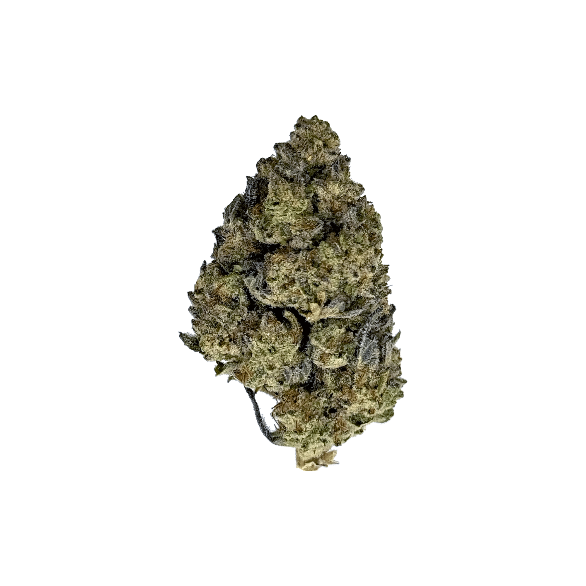 Gary Payton THCA Flower