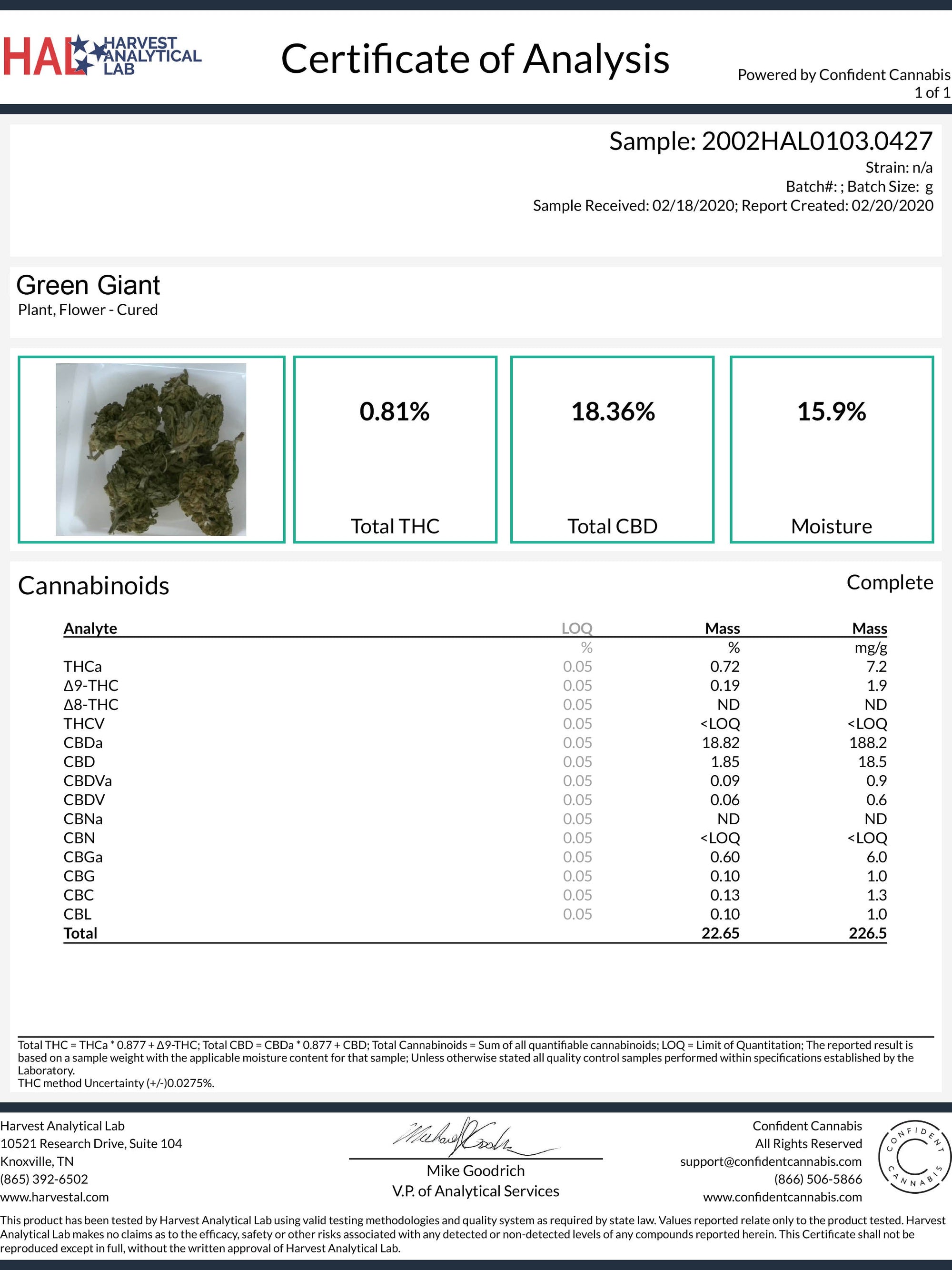 Green Giant CBD Flower