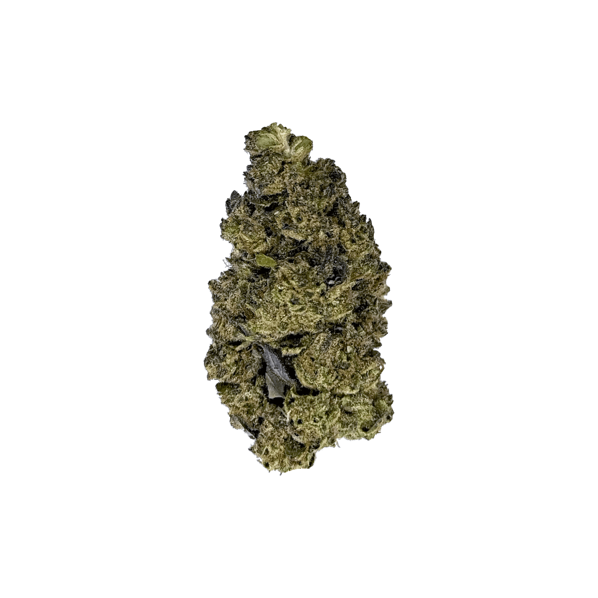 Gush Mintz THCA Flower