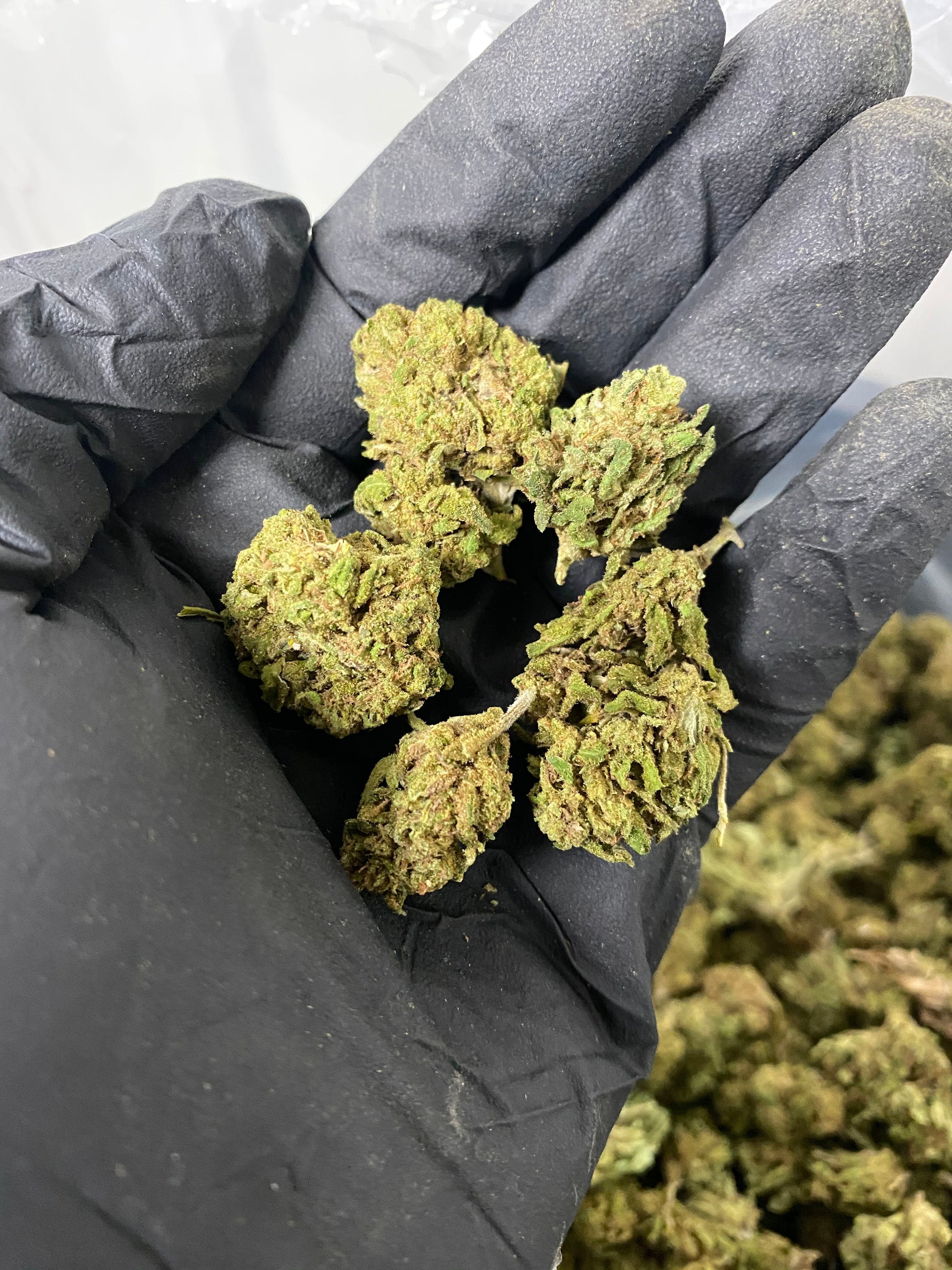 Hawaiian Haze CBD Flower