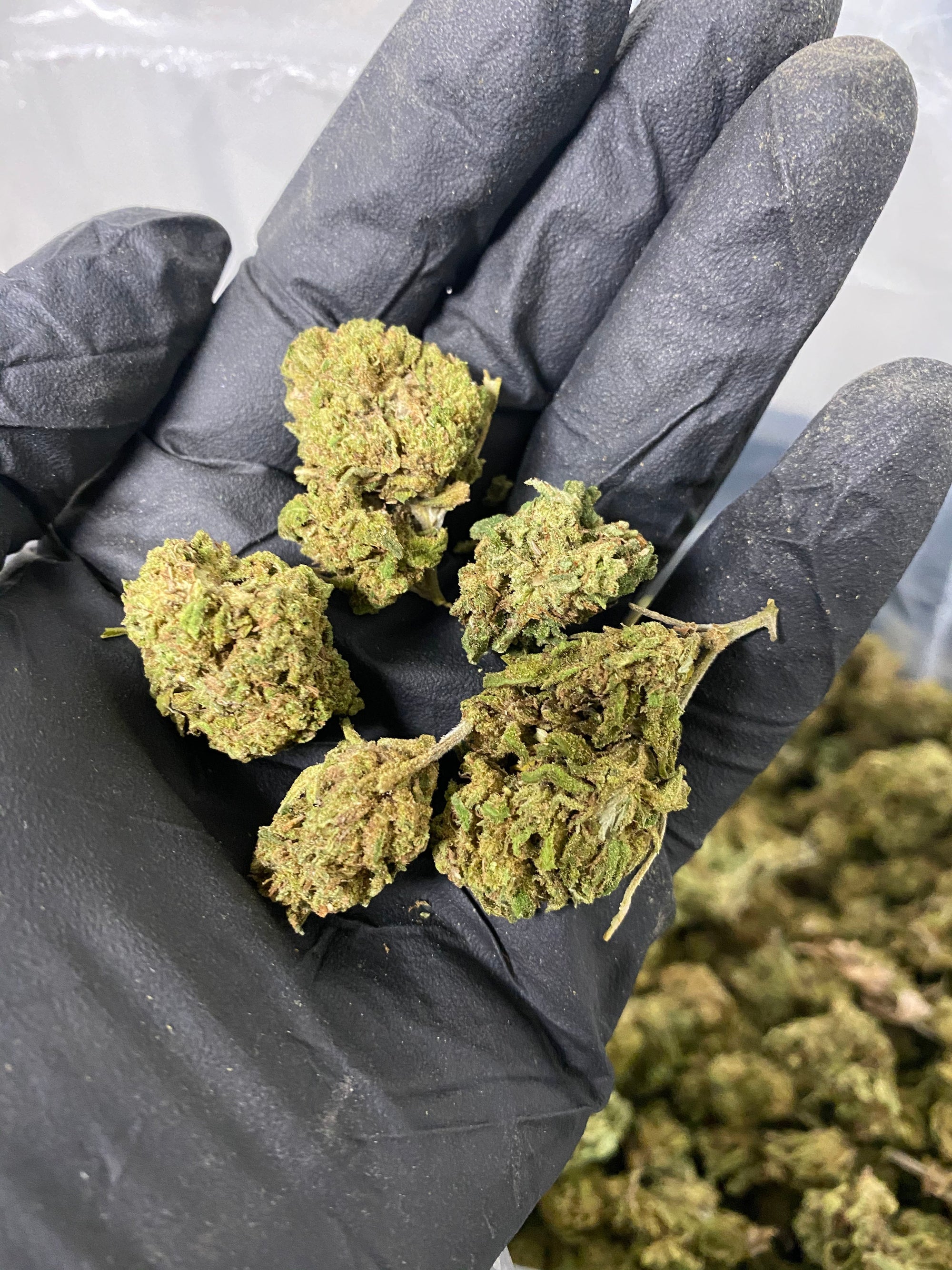 Hawaiian Haze CBD Flower