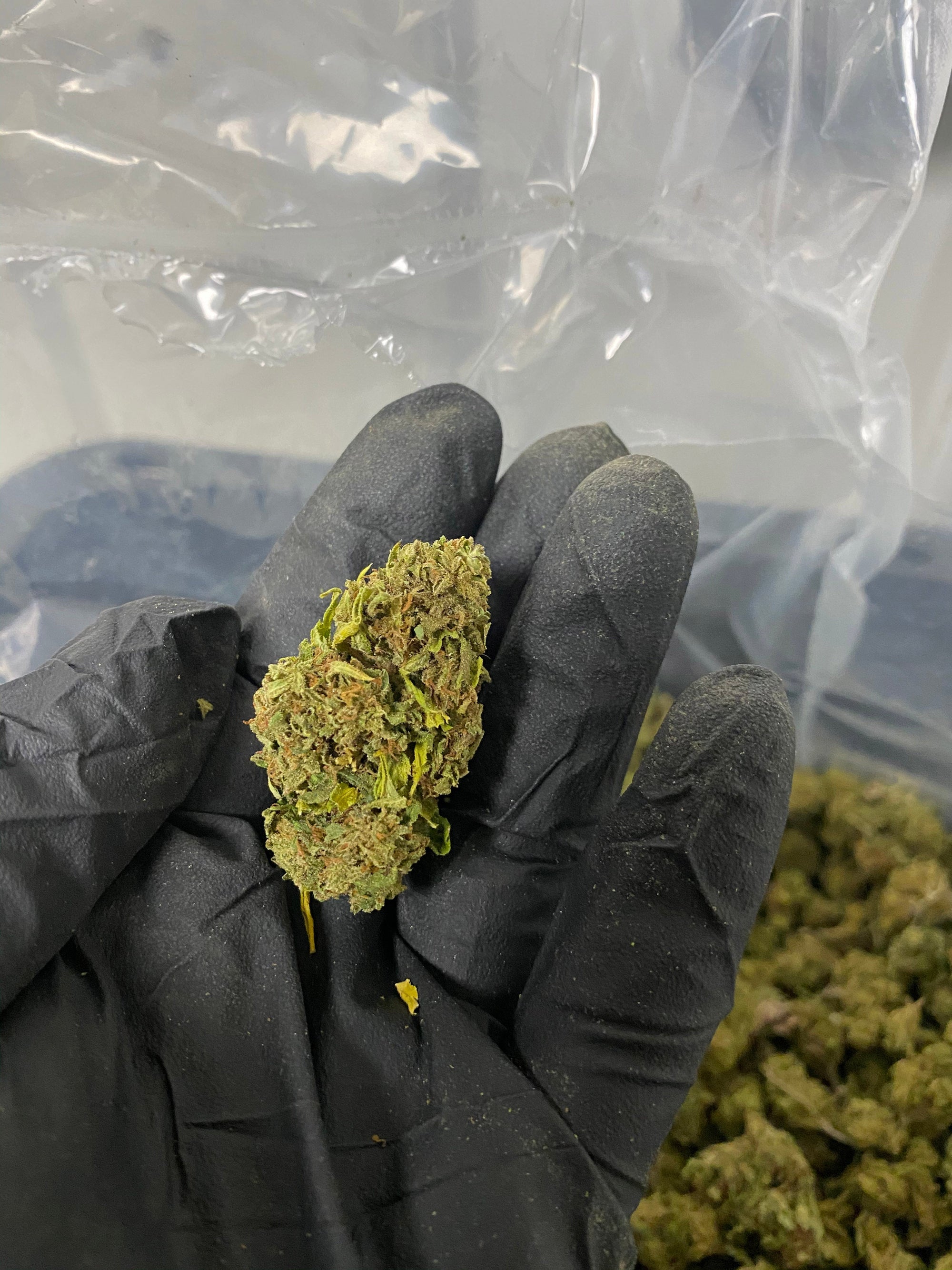 Hawaiian Haze CBD Flower