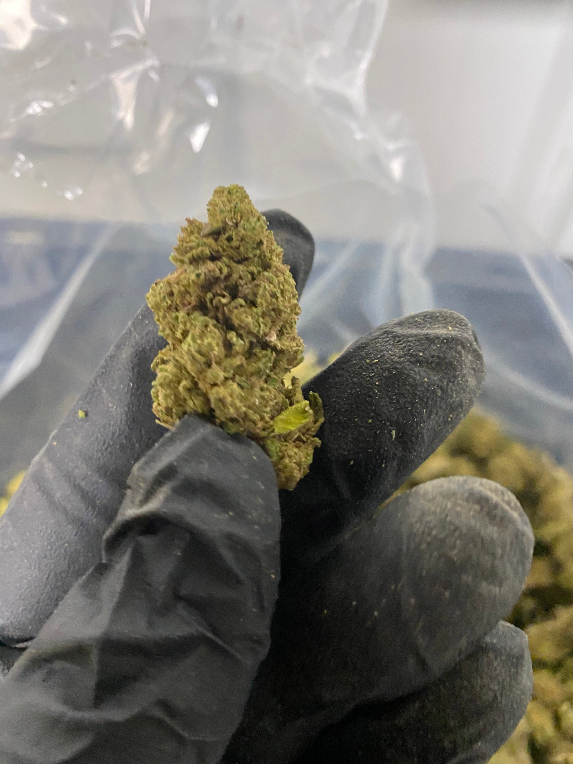 Hawaiian Haze CBD Flower