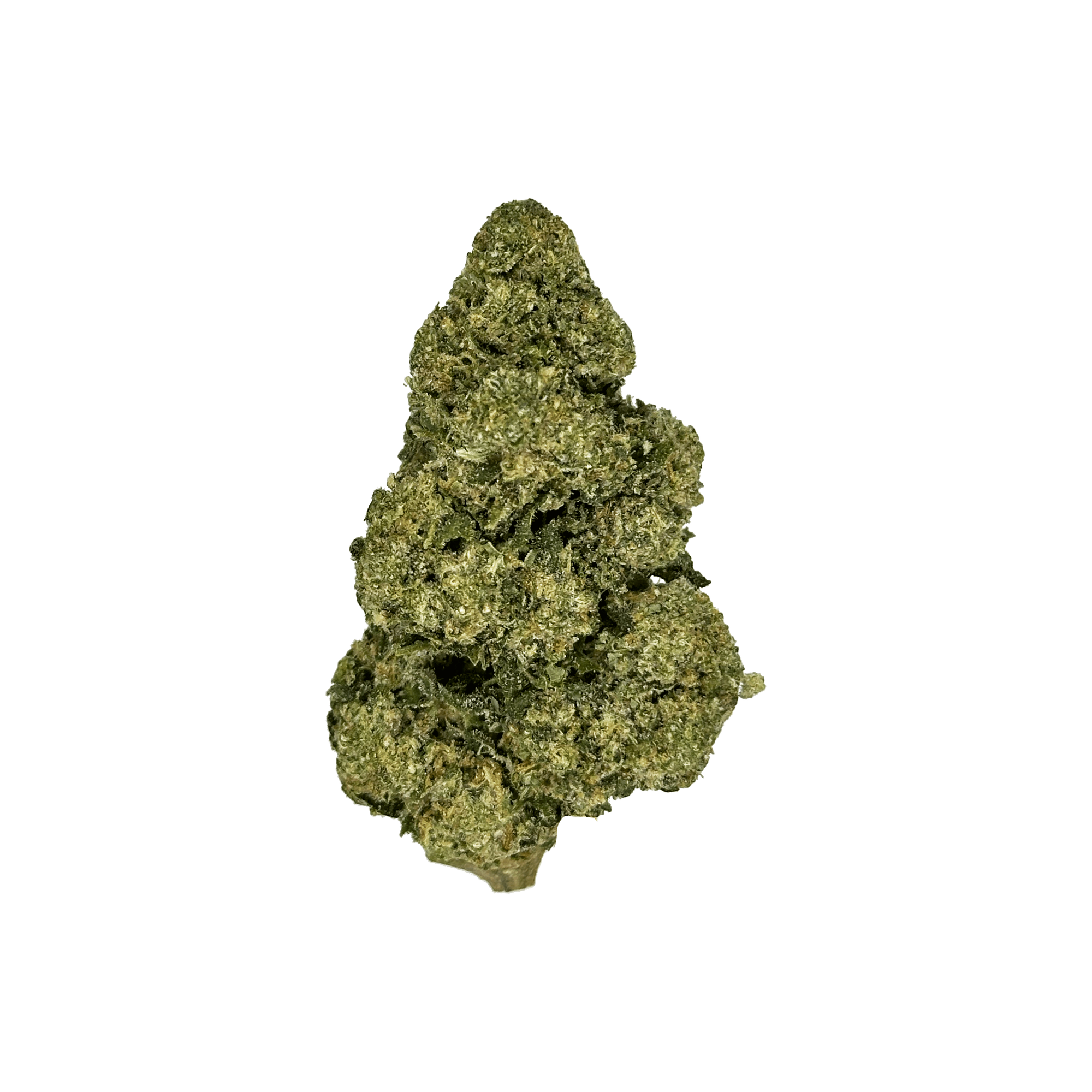 Jet Fuel Gelato THCa Flower