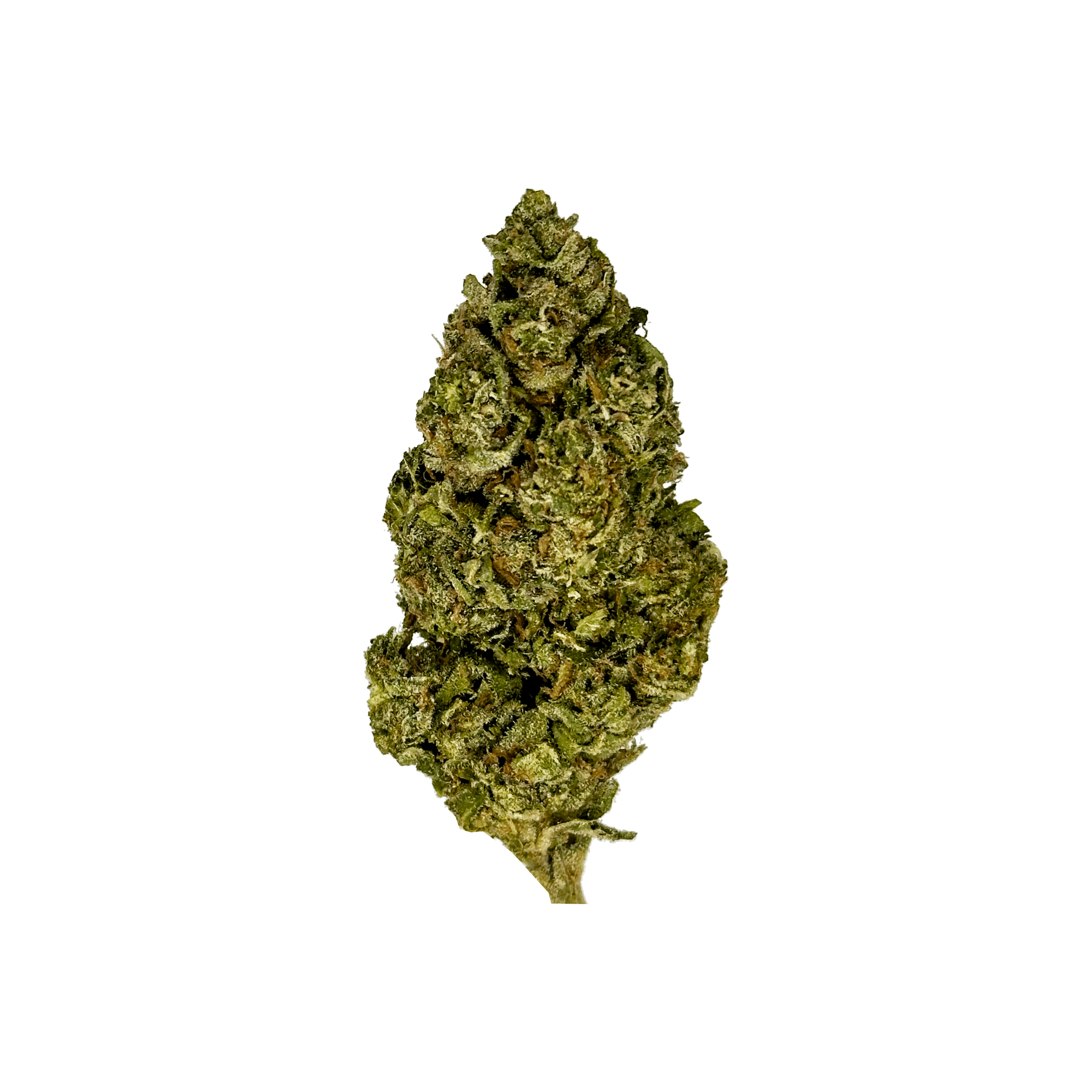 Jelly Roll THCa Flower