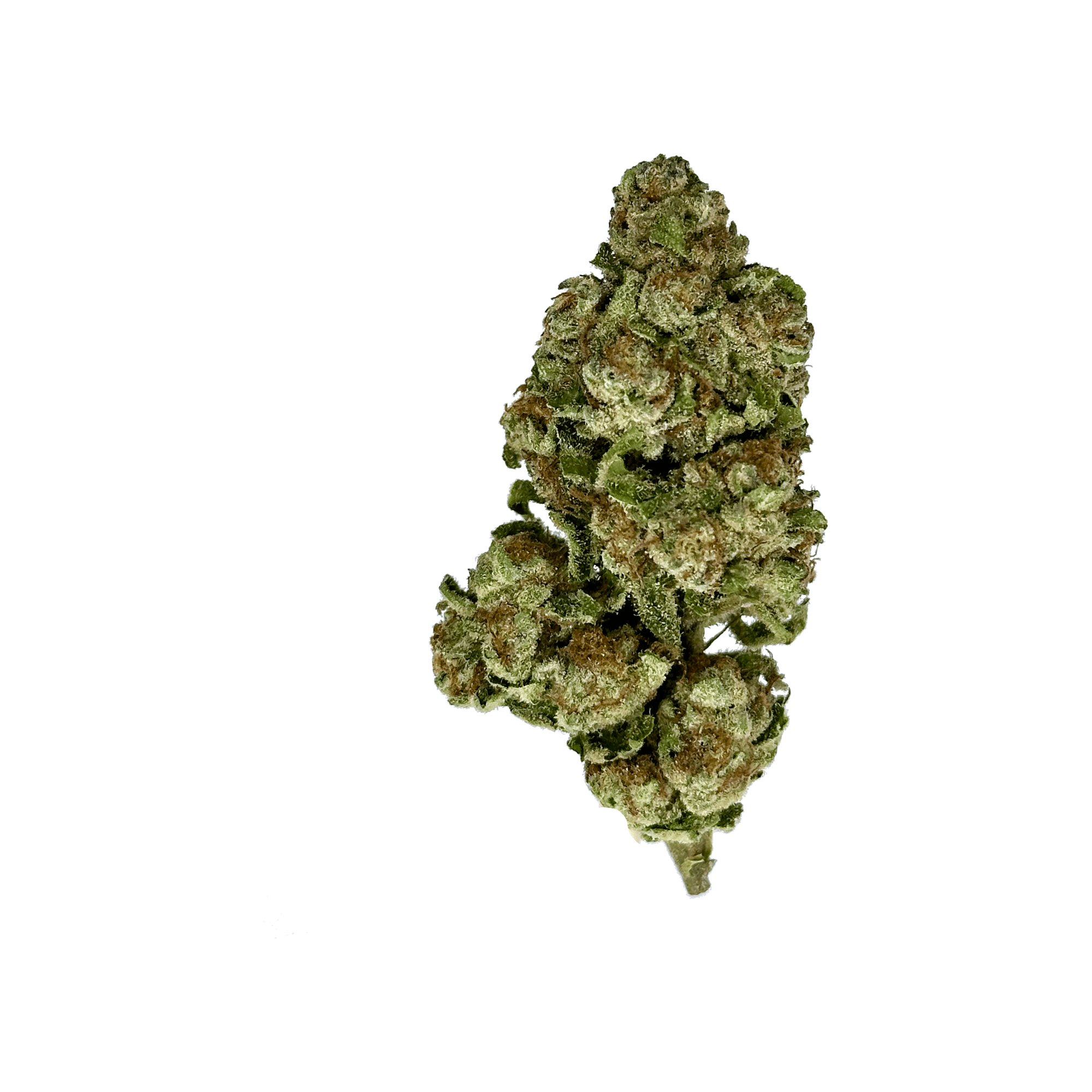 LA Punch THCa Flower
