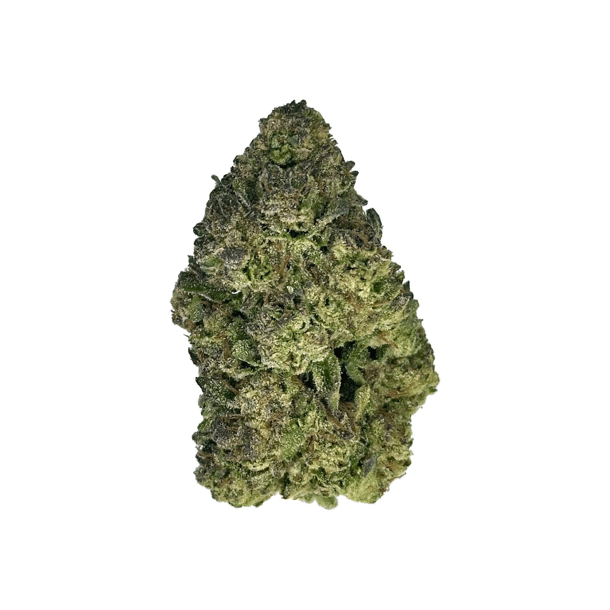 Indoor Gelato Lava Cake THCA Flower