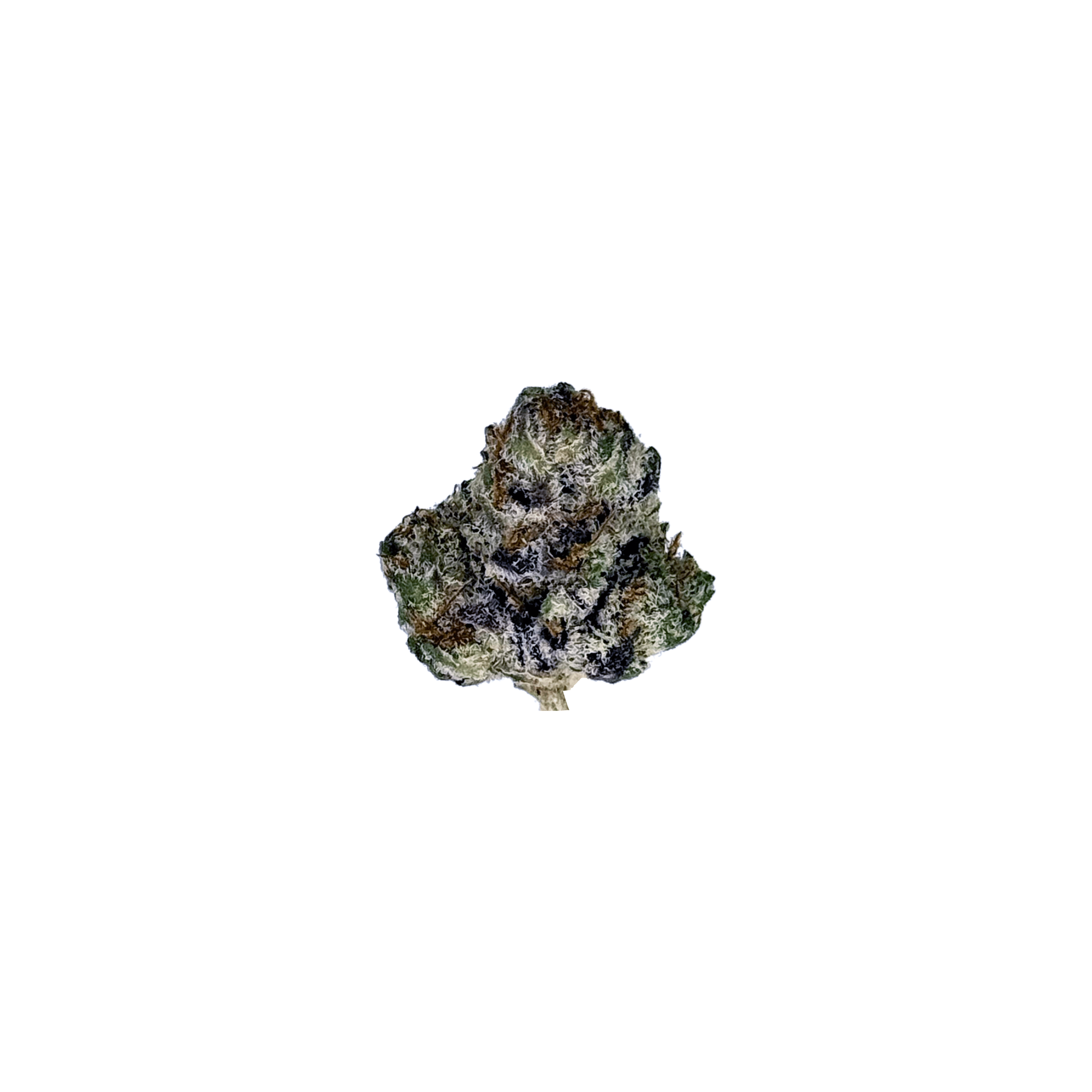 Oreoz THCa Flower Indoor Smalls