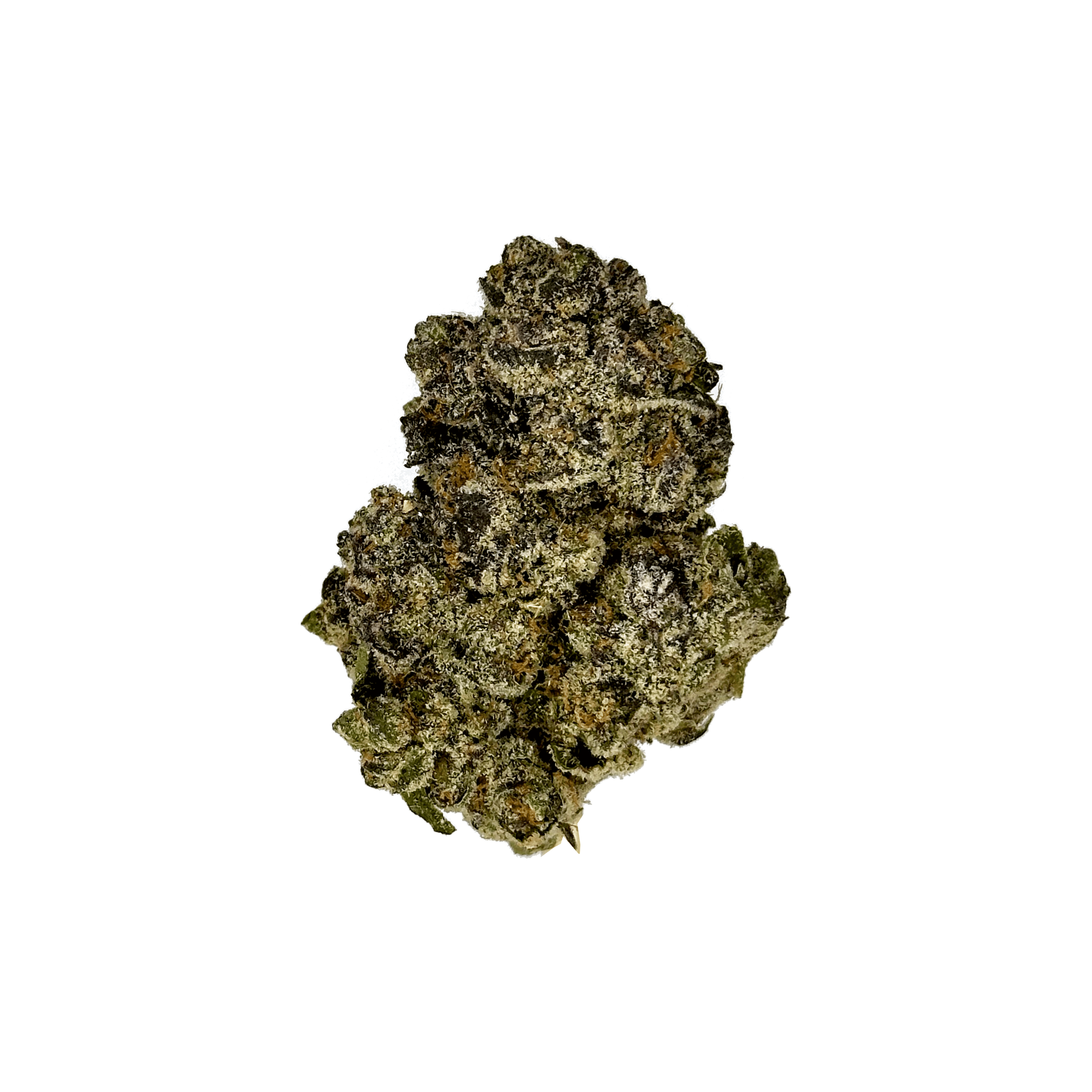 Purple Runtz Indoor THCa Flower