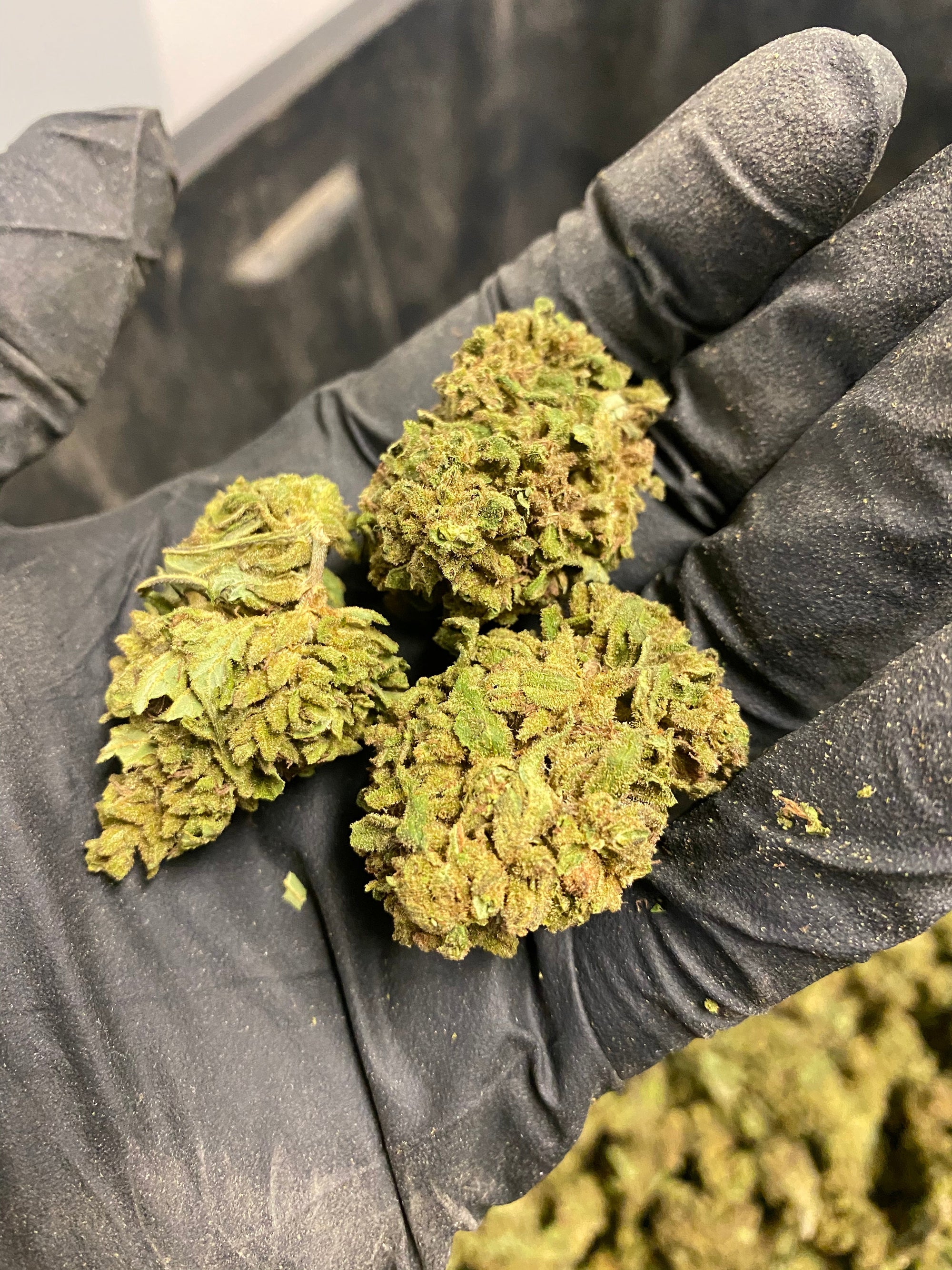 Abicus CBD Flower