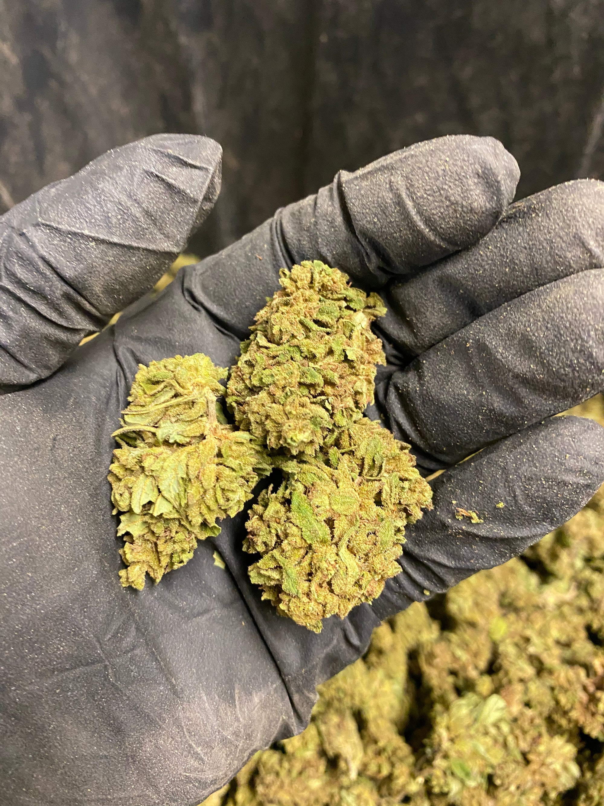Abicus CBD Flower