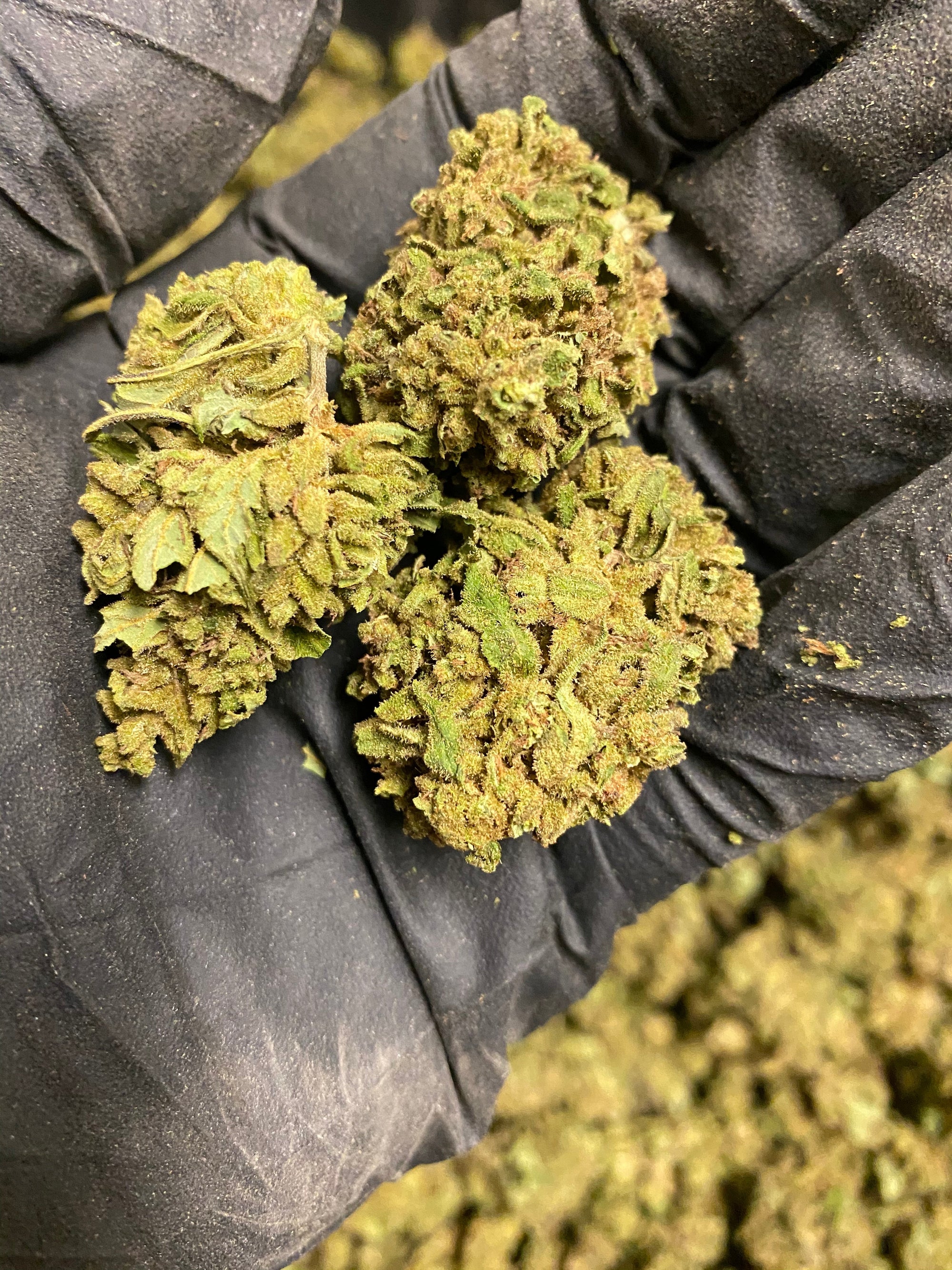Abicus CBD Flower