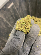 Abicus CBD Flower