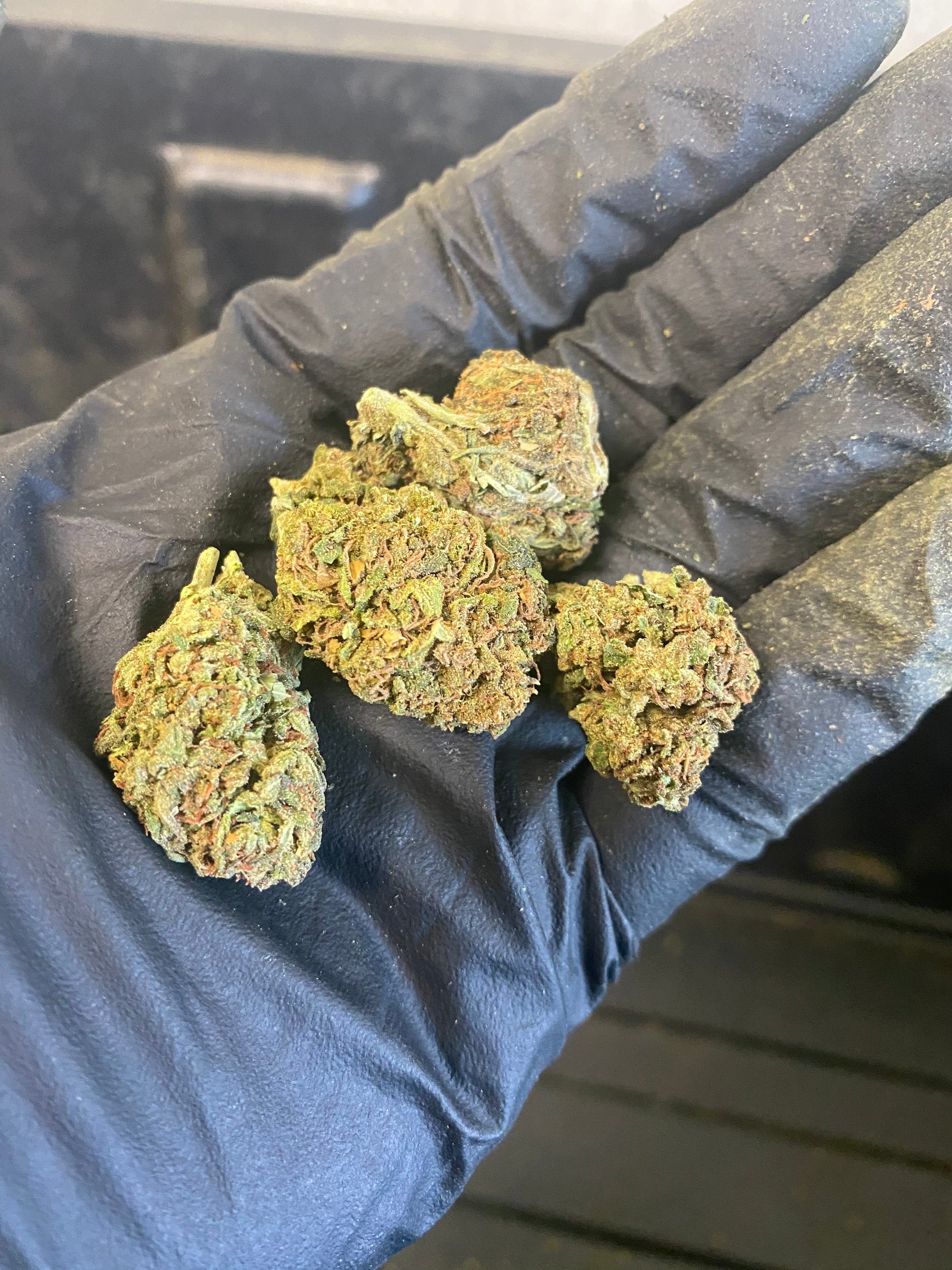 Tokyo CBD Flower