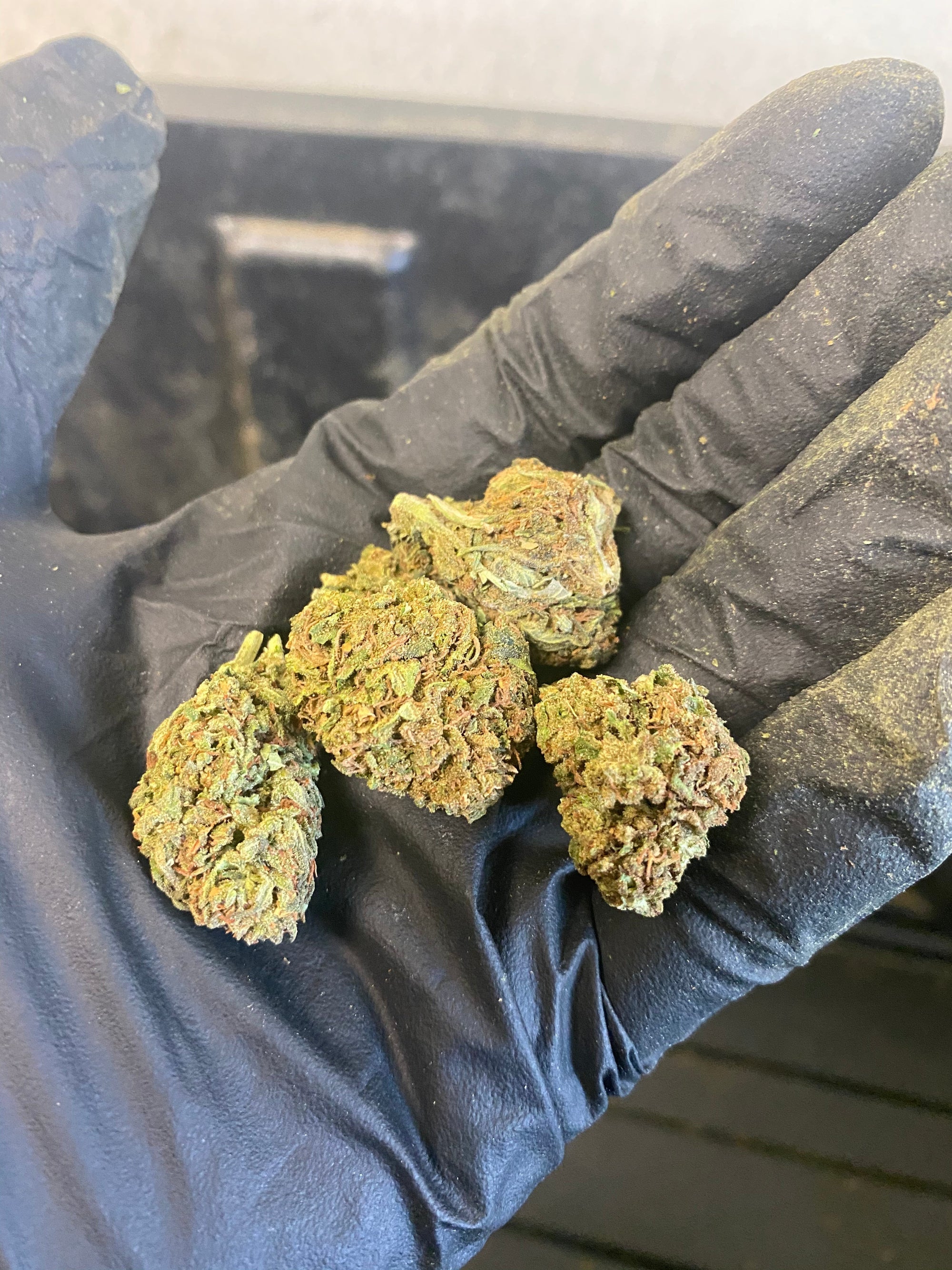 Tokyo CBD Flower