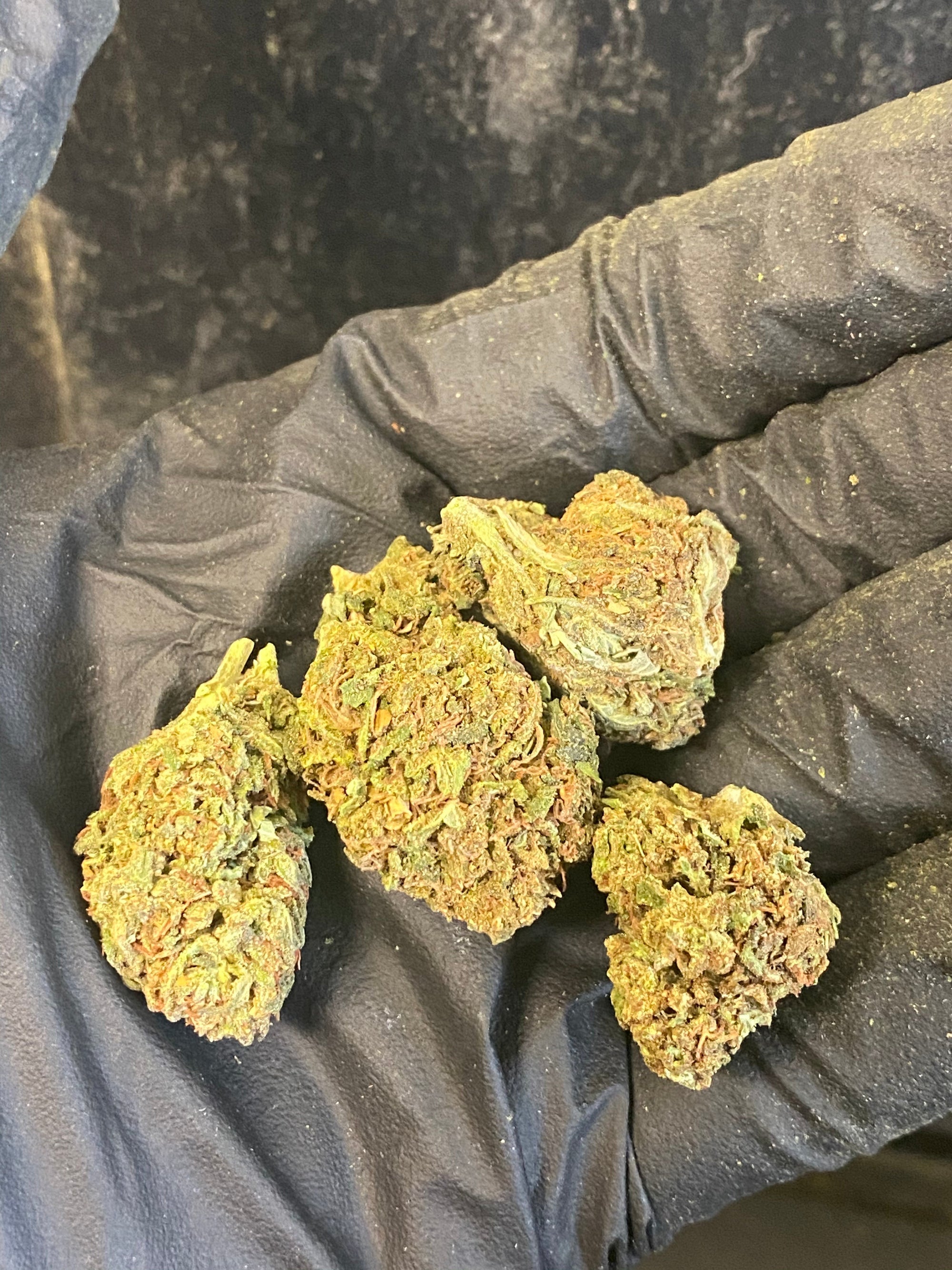 Tokyo CBD Flower