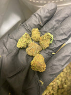 Farmers Hand Smalls
